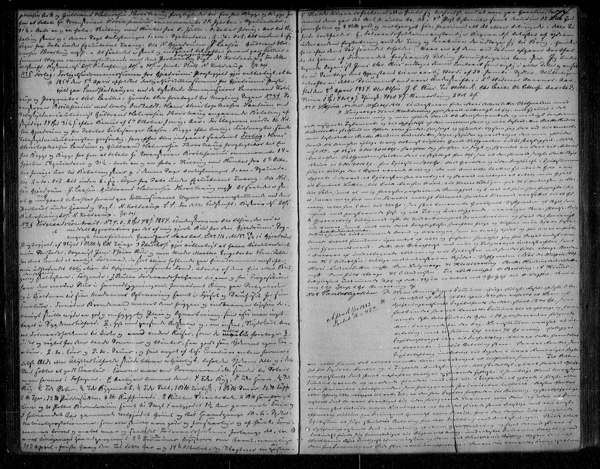 Nes tingrett, SAO/A-10548/G/Gb/Gba/L0012.a: Pantebok nr. 11, 1853-1861, s. 74