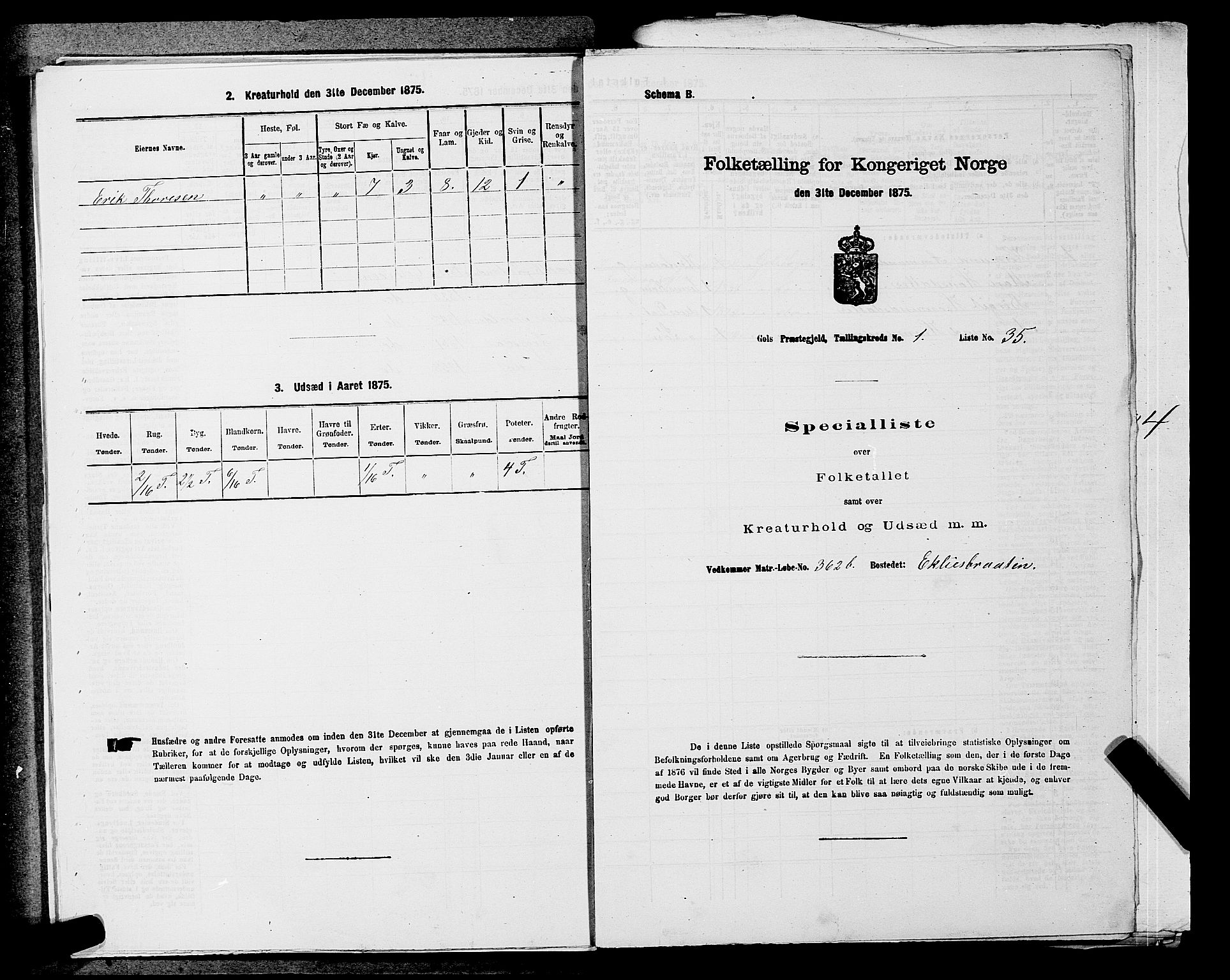 SAKO, Folketelling 1875 for 0617P Gol prestegjeld, 1875, s. 204