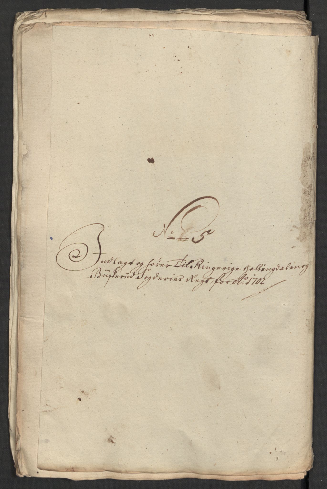 Rentekammeret inntil 1814, Reviderte regnskaper, Fogderegnskap, RA/EA-4092/R22/L1459: Fogderegnskap Ringerike, Hallingdal og Buskerud, 1702, s. 214