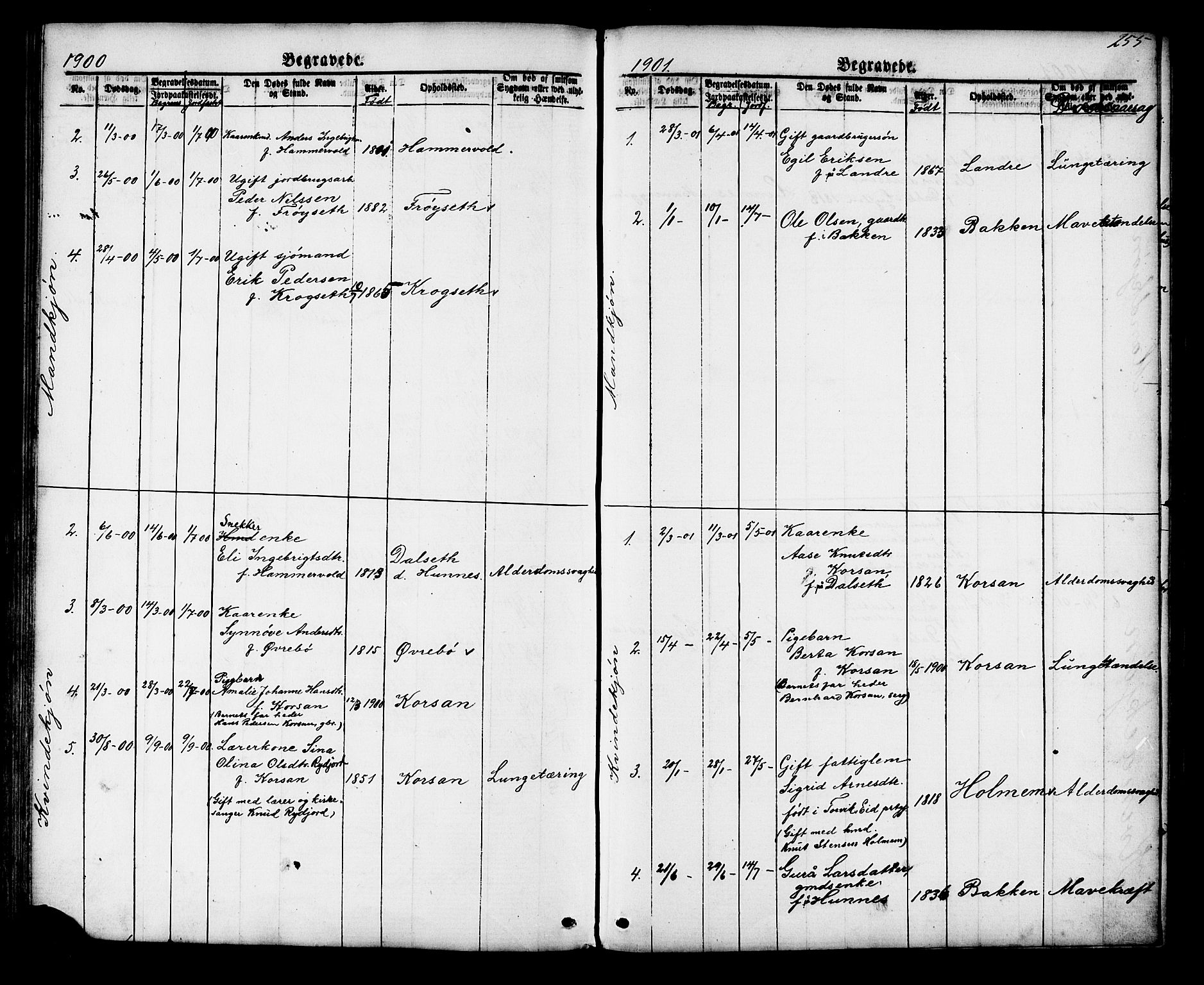 Ministerialprotokoller, klokkerbøker og fødselsregistre - Møre og Romsdal, SAT/A-1454/548/L0614: Klokkerbok nr. 548C02, 1867-1917, s. 255