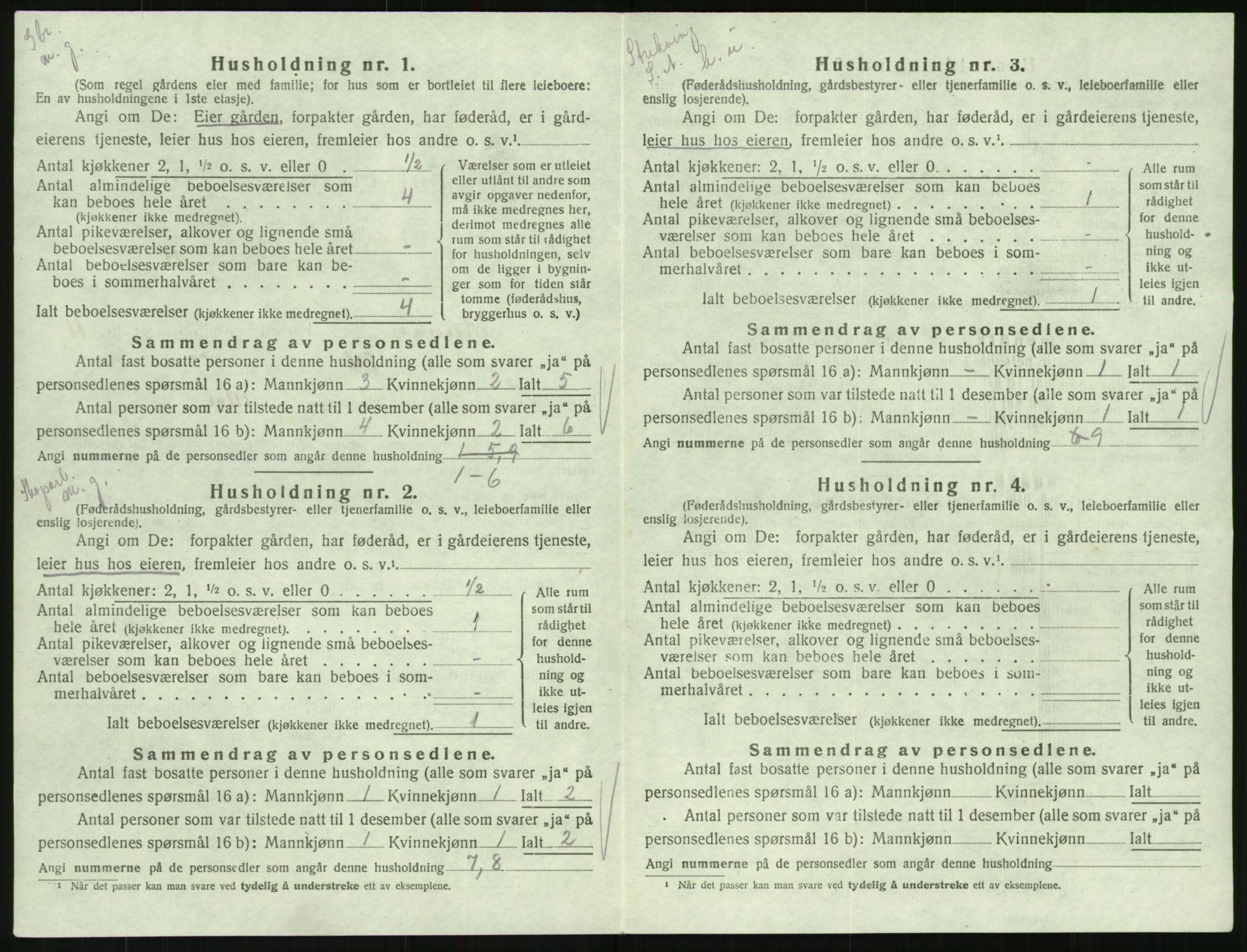 SAK, Folketelling 1920 for 0936 Hornnes herred, 1920, s. 452