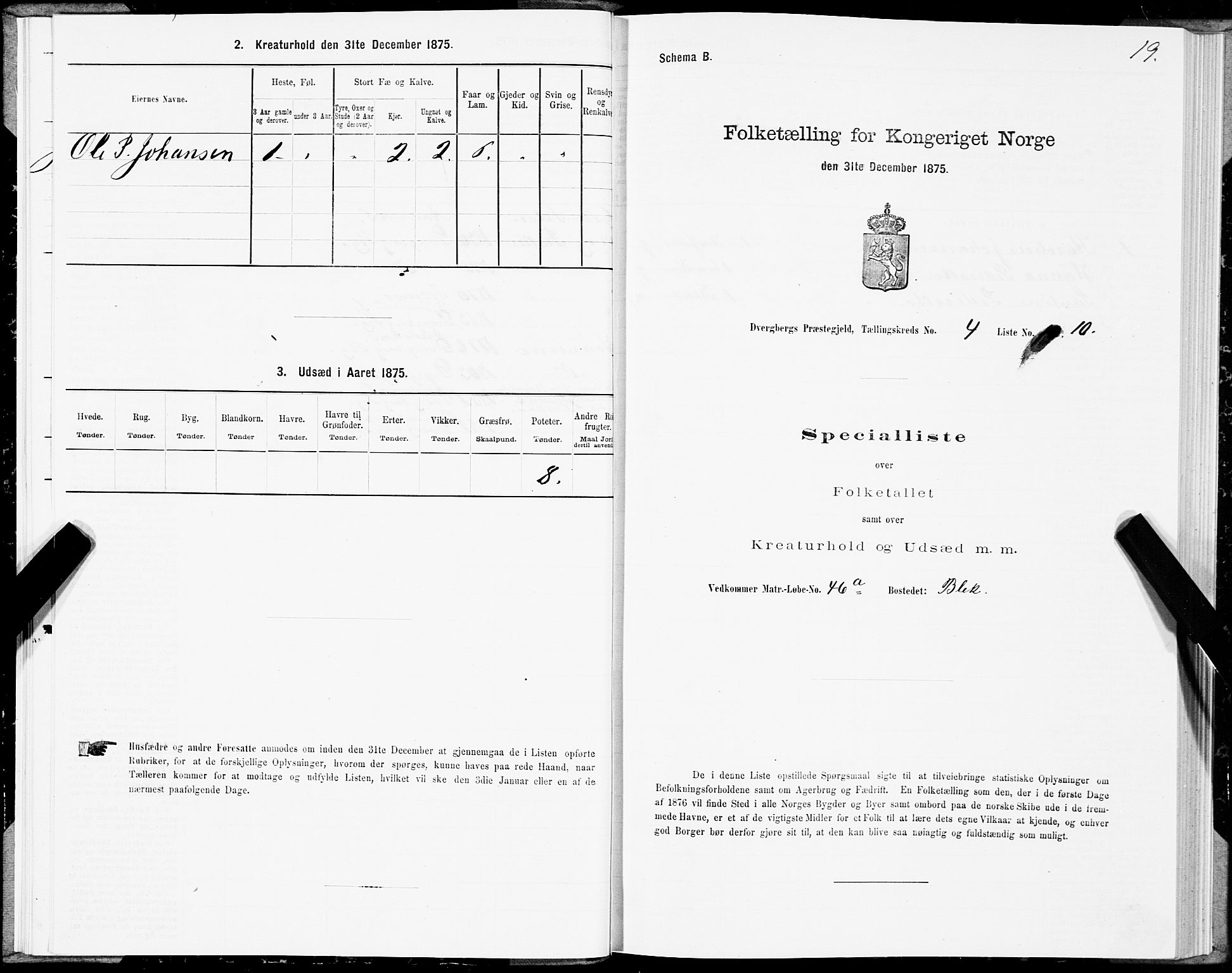 SAT, Folketelling 1875 for 1872P Dverberg prestegjeld, 1875, s. 3019