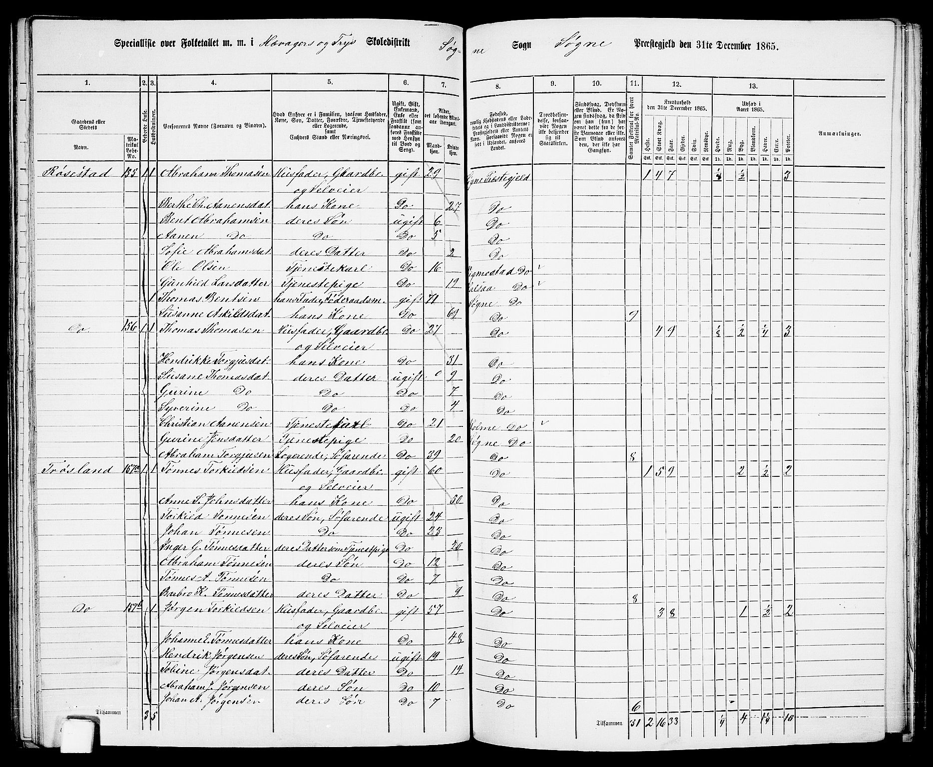 RA, Folketelling 1865 for 1018P Søgne prestegjeld, 1865, s. 103