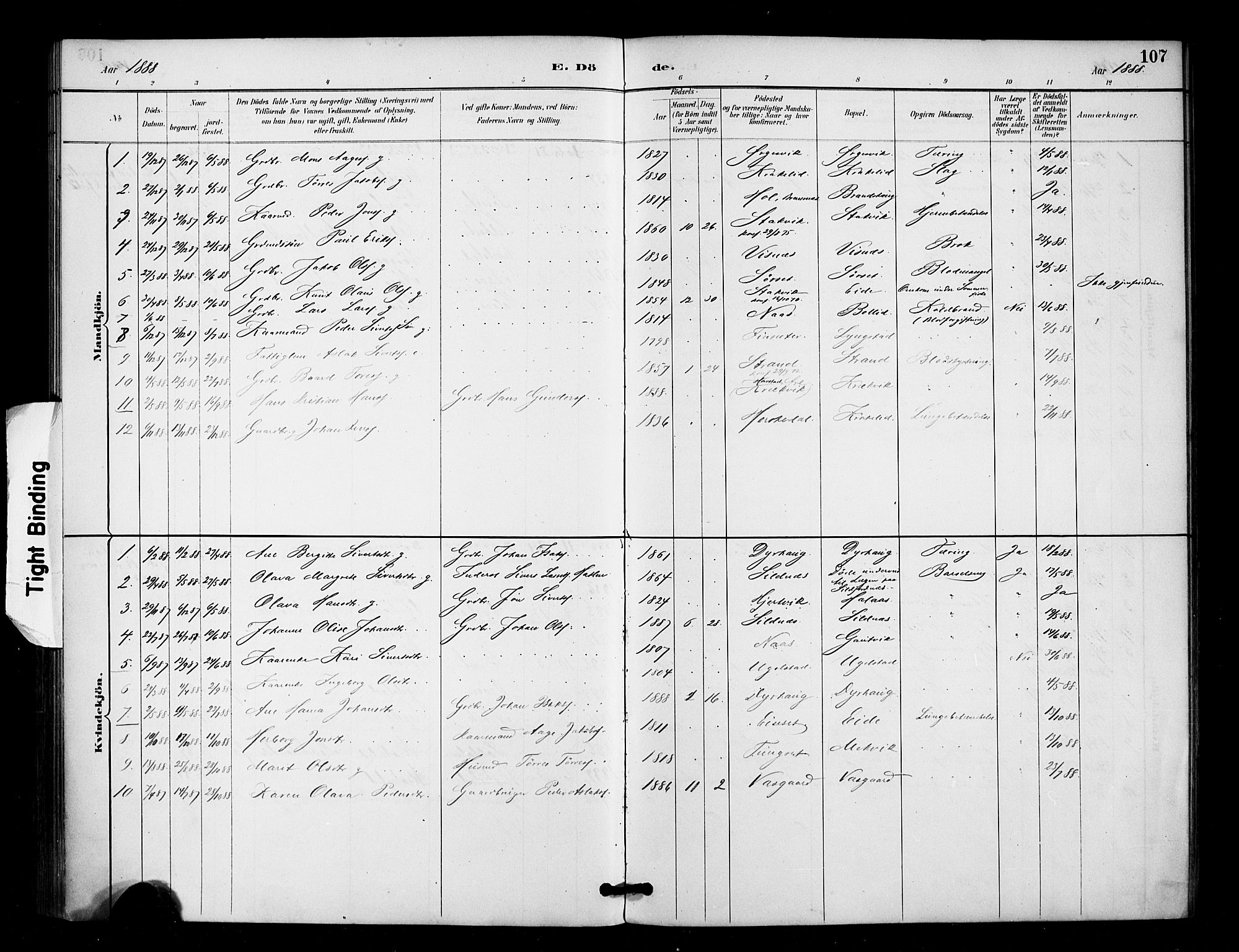 Ministerialprotokoller, klokkerbøker og fødselsregistre - Møre og Romsdal, AV/SAT-A-1454/571/L0836: Ministerialbok nr. 571A01, 1884-1899, s. 107