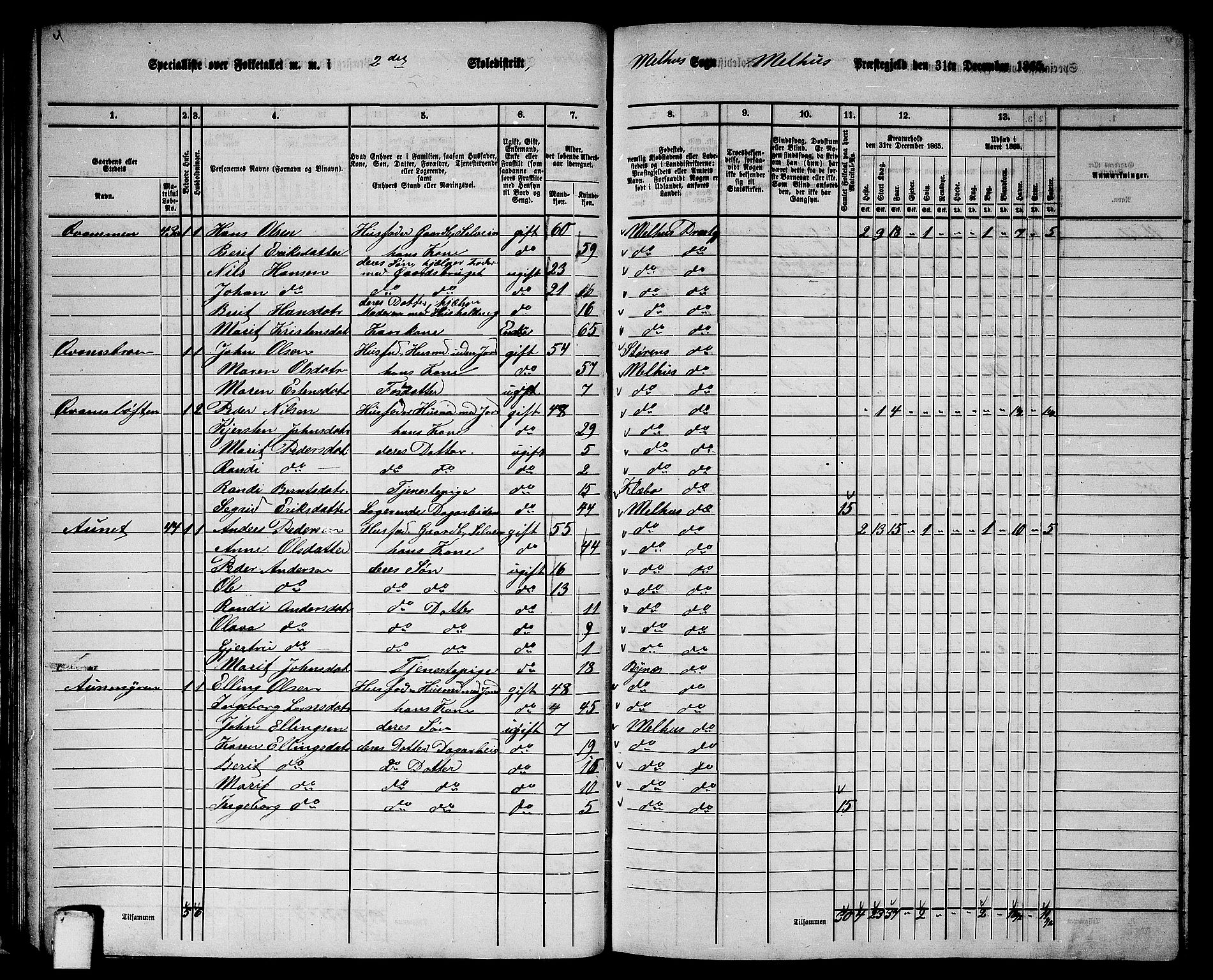 RA, Folketelling 1865 for 1653P Melhus prestegjeld, 1865, s. 41