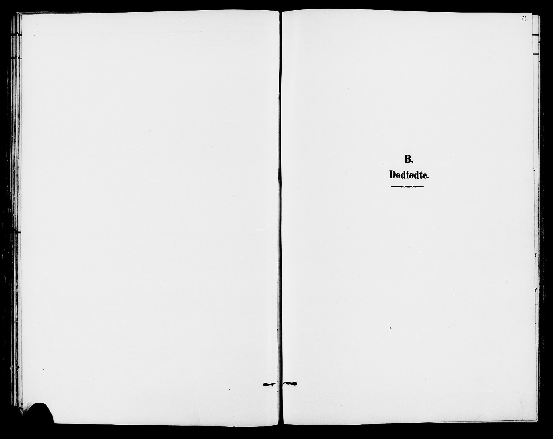 Hof prestekontor, SAH/PREST-038/H/Ha/Hab/L0001: Klokkerbok nr. 1, 1895-1914, s. 73