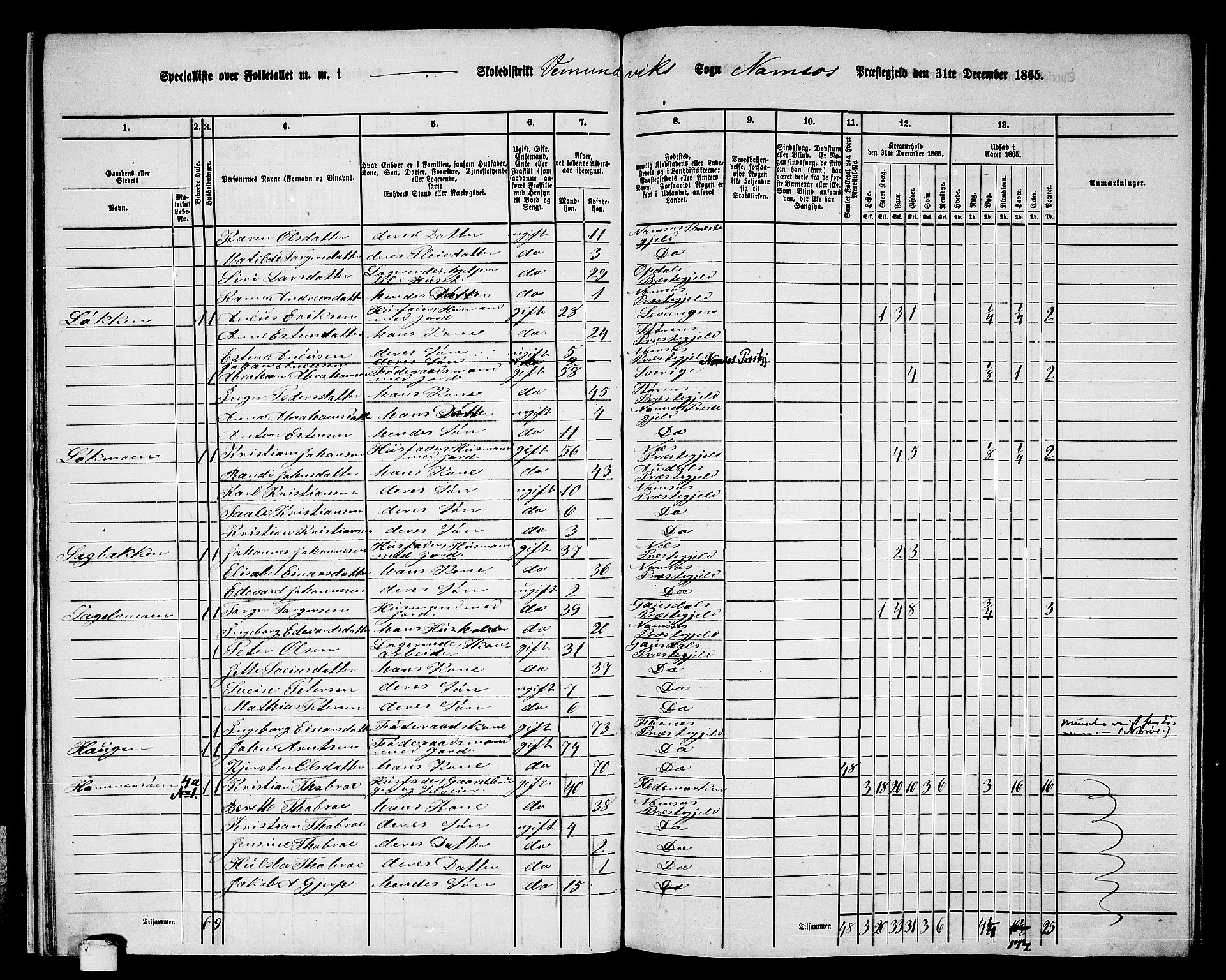 RA, Folketelling 1865 for 1745L Namsos prestegjeld, Vemundvik sokn og Sævik sokn, 1865, s. 19