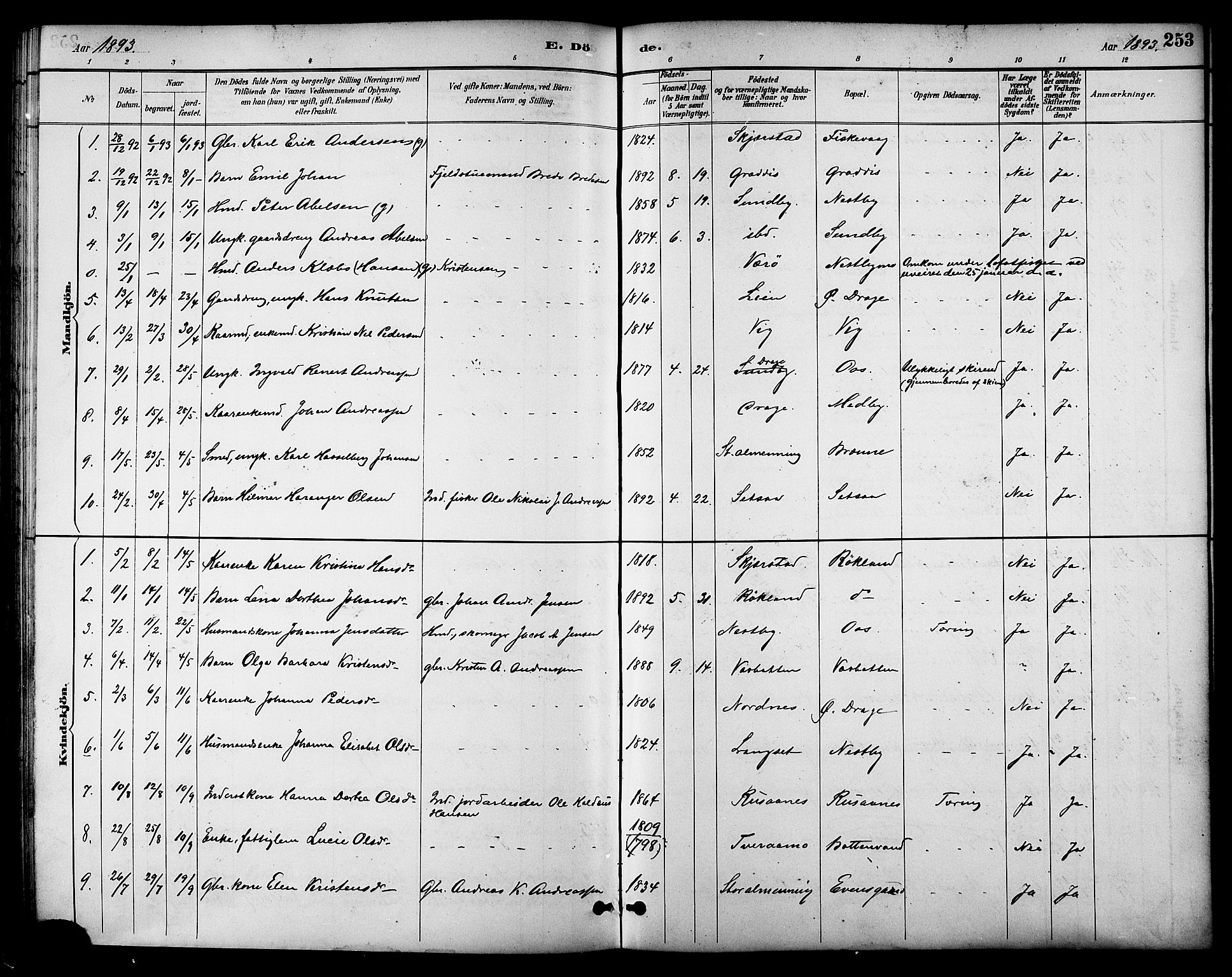 Ministerialprotokoller, klokkerbøker og fødselsregistre - Nordland, AV/SAT-A-1459/847/L0669: Ministerialbok nr. 847A09, 1887-1901, s. 253