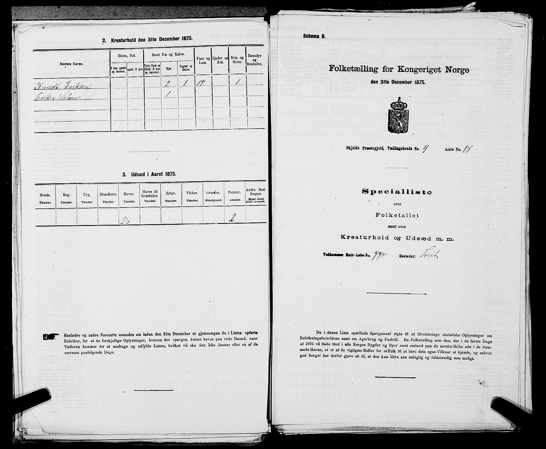 SAST, Folketelling 1875 for 1154P Skjold prestegjeld, 1875, s. 316