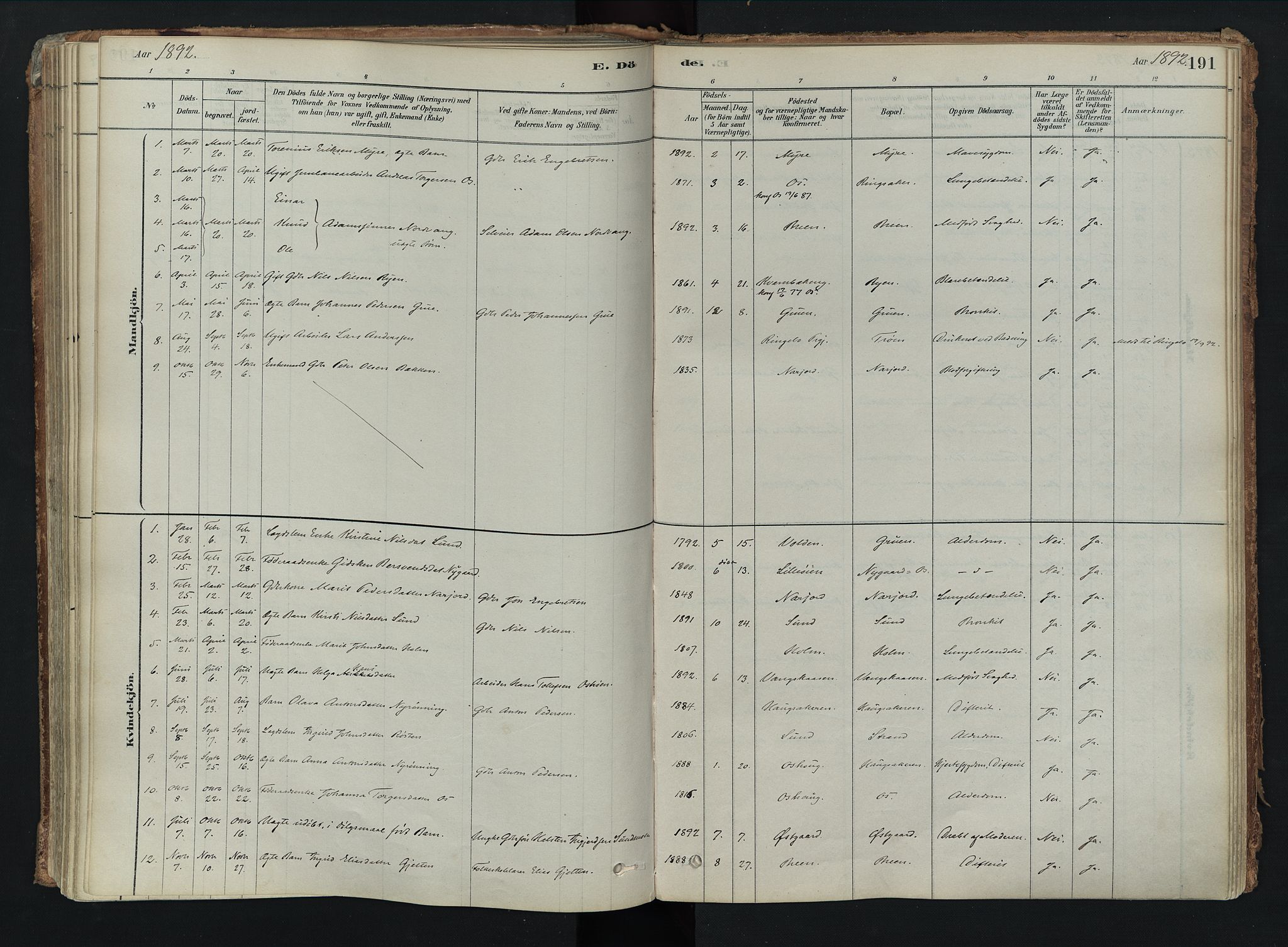 Tolga prestekontor, SAH/PREST-062/K/L0008: Ministerialbok nr. 8, 1877-1910, s. 191