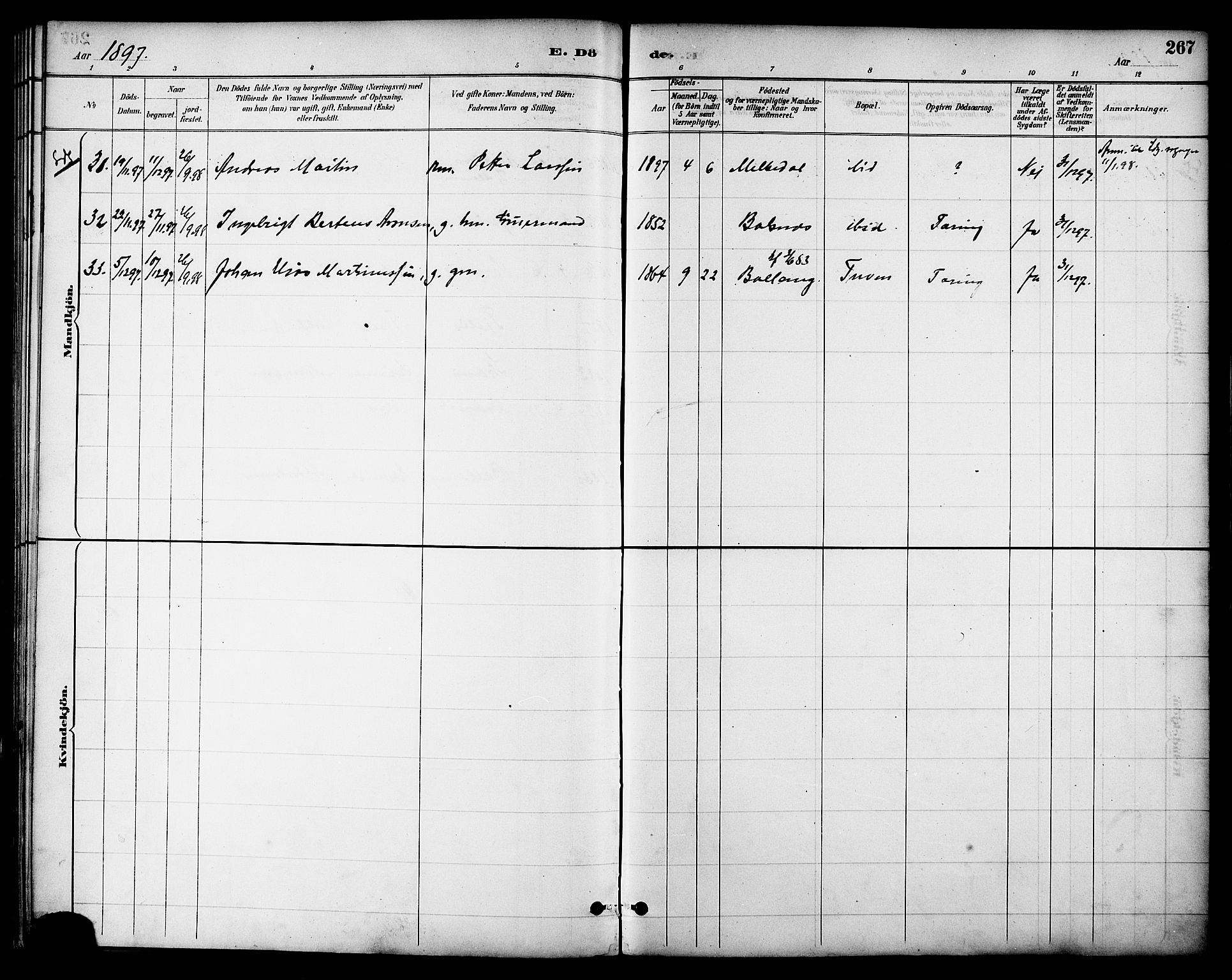 Ministerialprotokoller, klokkerbøker og fødselsregistre - Nordland, AV/SAT-A-1459/863/L0898: Ministerialbok nr. 863A10, 1886-1897, s. 267