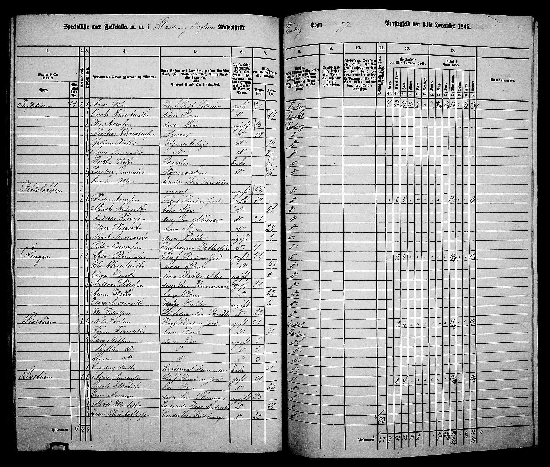 RA, Folketelling 1865 for 0524L Fåberg prestegjeld, Fåberg sokn og Lillehammer landsokn, 1865, s. 252