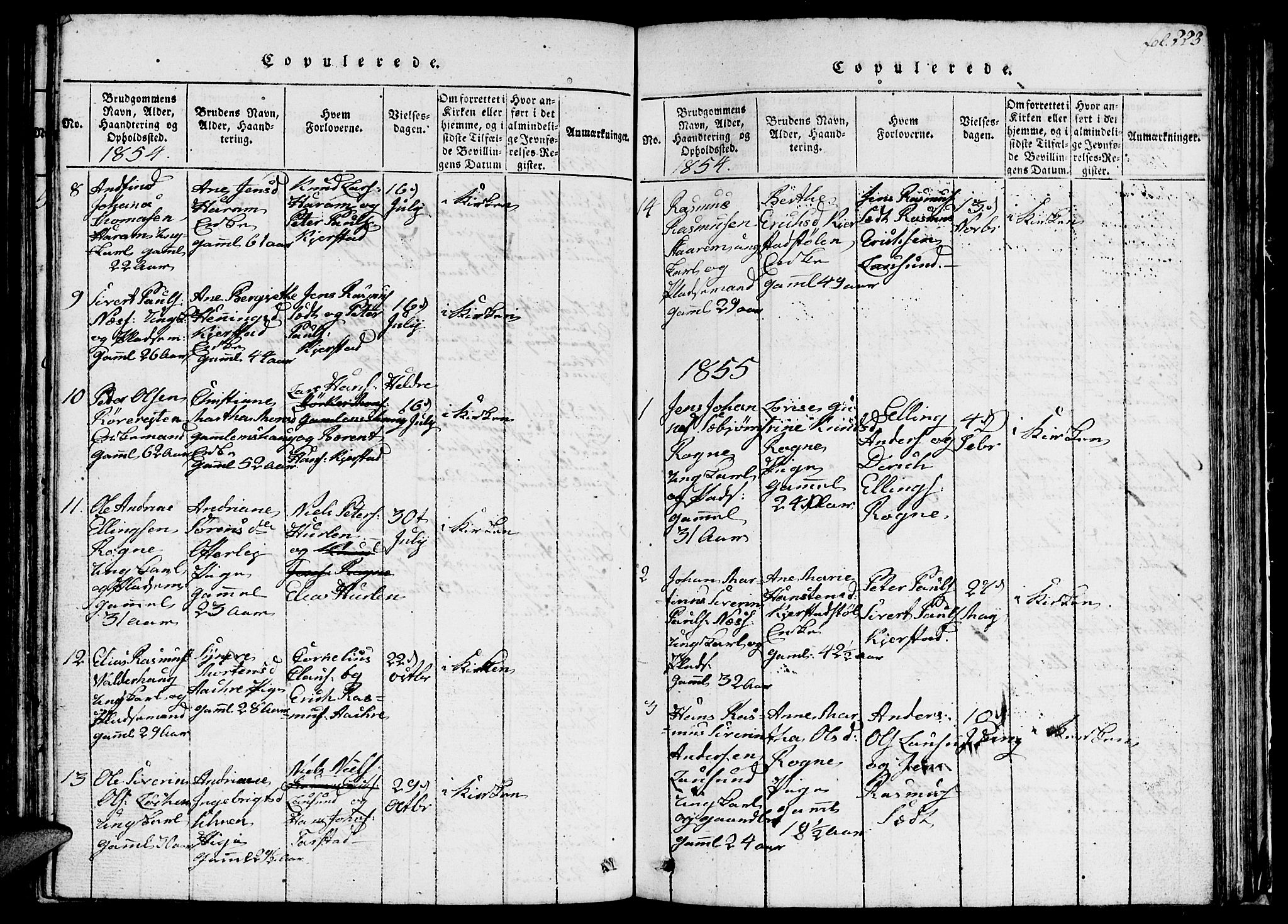 Ministerialprotokoller, klokkerbøker og fødselsregistre - Møre og Romsdal, SAT/A-1454/536/L0506: Klokkerbok nr. 536C01, 1818-1859, s. 223