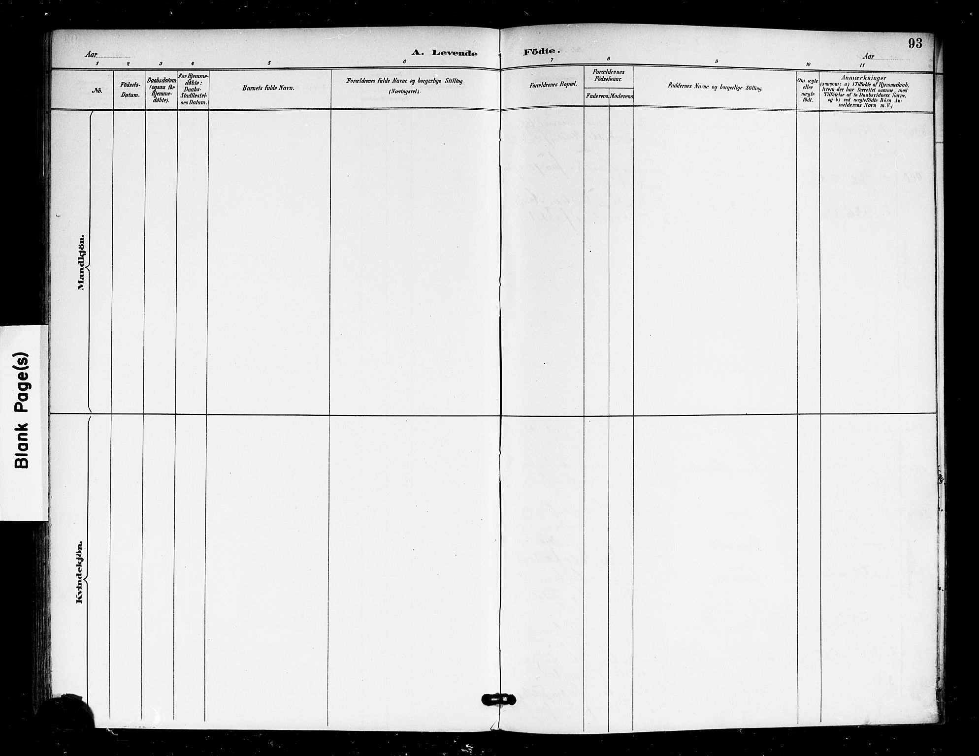 Eidsberg prestekontor Kirkebøker, SAO/A-10905/F/Fa/L0013: Ministerialbok nr. I 13, 1890-1901, s. 93