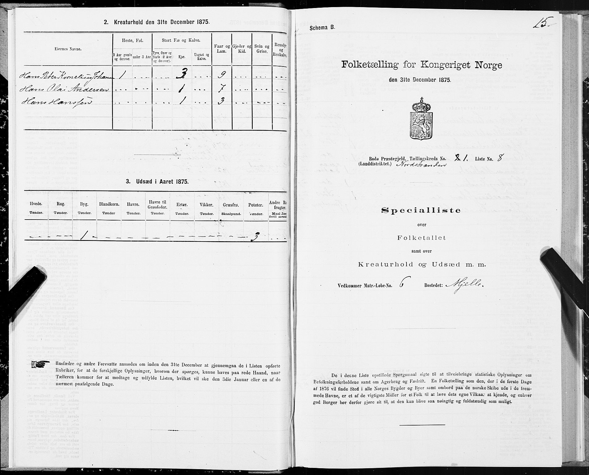 SAT, Folketelling 1875 for 1843L Bodø prestegjeld, Bodø landsokn, 1875, s. 1015