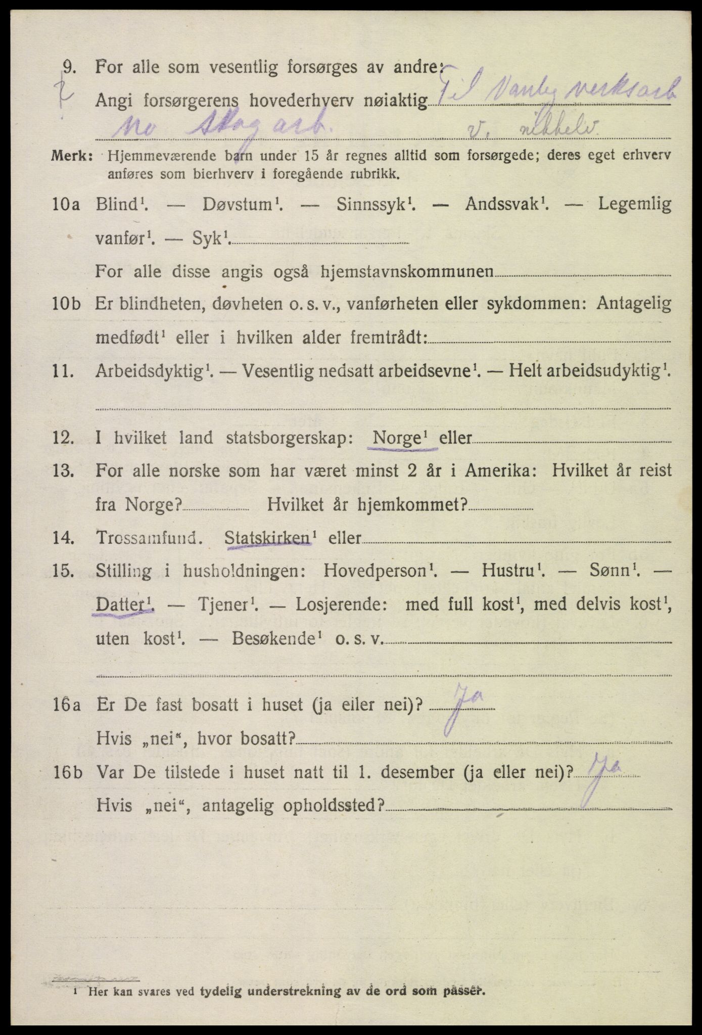 SAK, Folketelling 1920 for 0936 Hornnes herred, 1920, s. 954