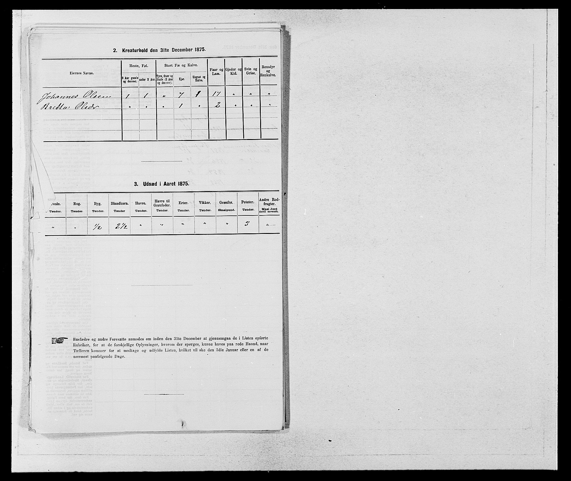 SAB, Folketelling 1875 for 1235P Voss prestegjeld, 1875, s. 1045