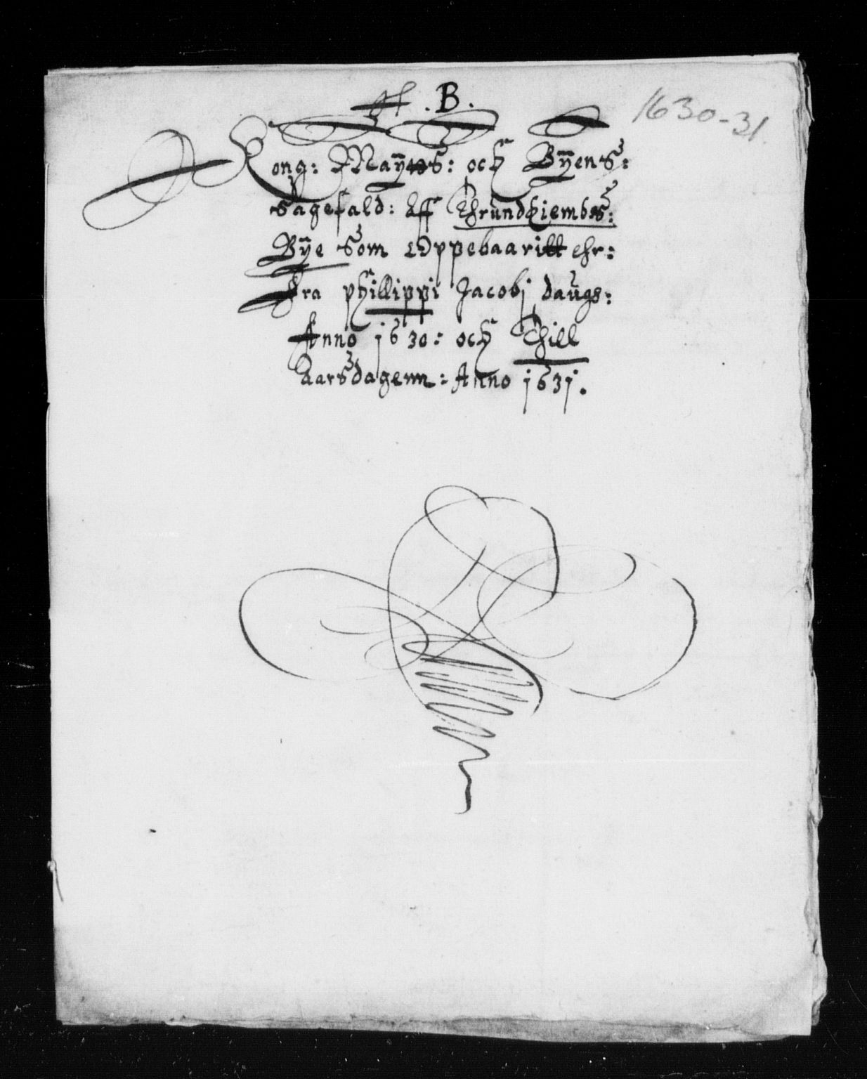 Rentekammeret inntil 1814, Reviderte regnskaper, Lensregnskaper, AV/RA-EA-5023/R/Rb/Rbw/L0043: Trondheim len, 1629-1631