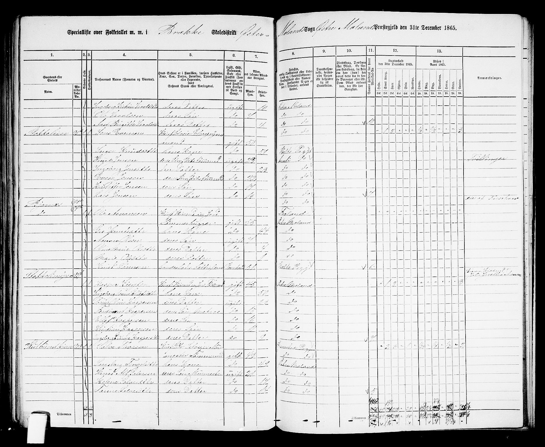 RA, Folketelling 1865 for 0918P Austre Moland prestegjeld, 1865, s. 291