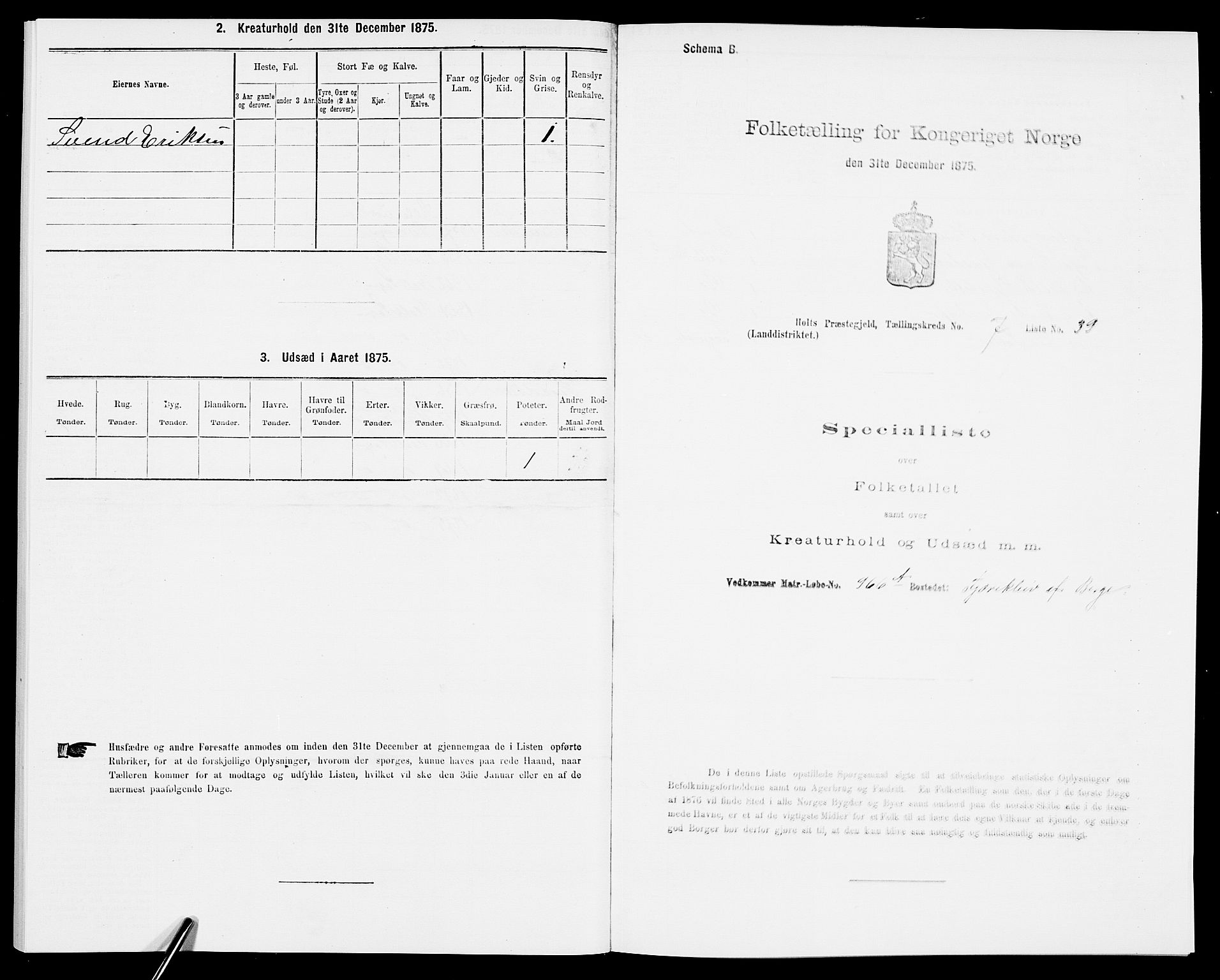 SAK, Folketelling 1875 for 0914L Holt prestegjeld, Holt sokn, 1875, s. 851