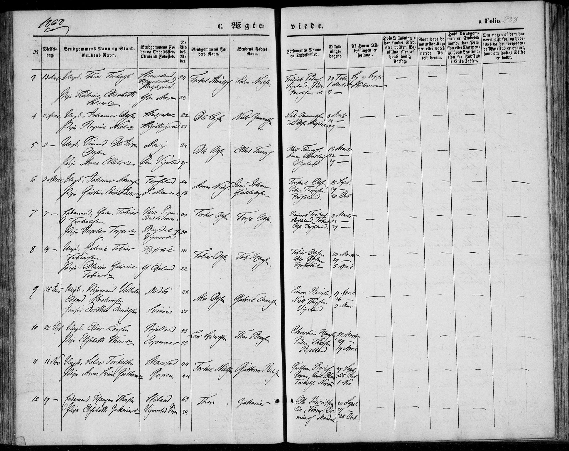 Sør-Audnedal sokneprestkontor, AV/SAK-1111-0039/F/Fa/Fab/L0007: Ministerialbok nr. A 7, 1855-1876, s. 238