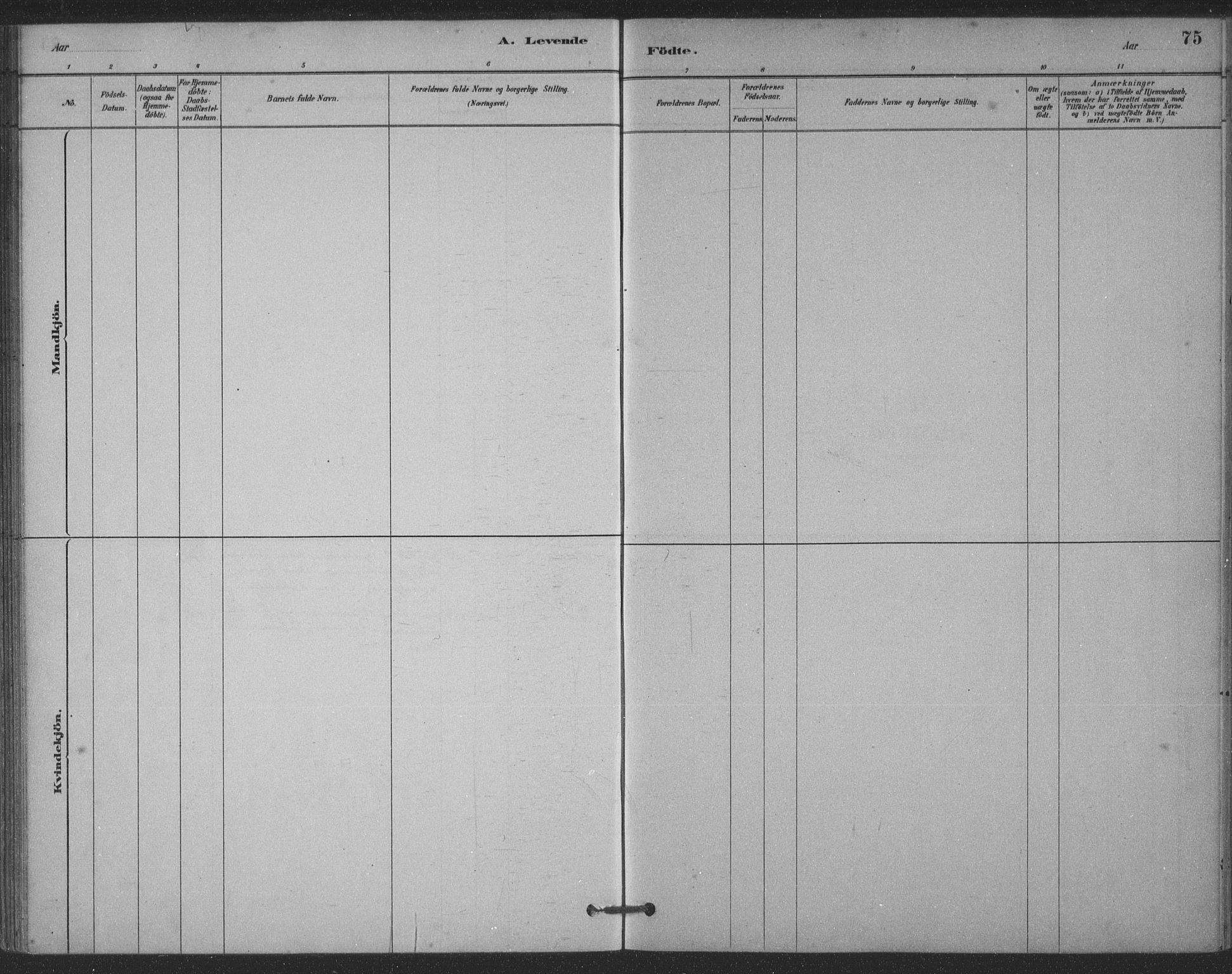 Ministerialprotokoller, klokkerbøker og fødselsregistre - Møre og Romsdal, SAT/A-1454/524/L0356: Ministerialbok nr. 524A08, 1880-1899, s. 75
