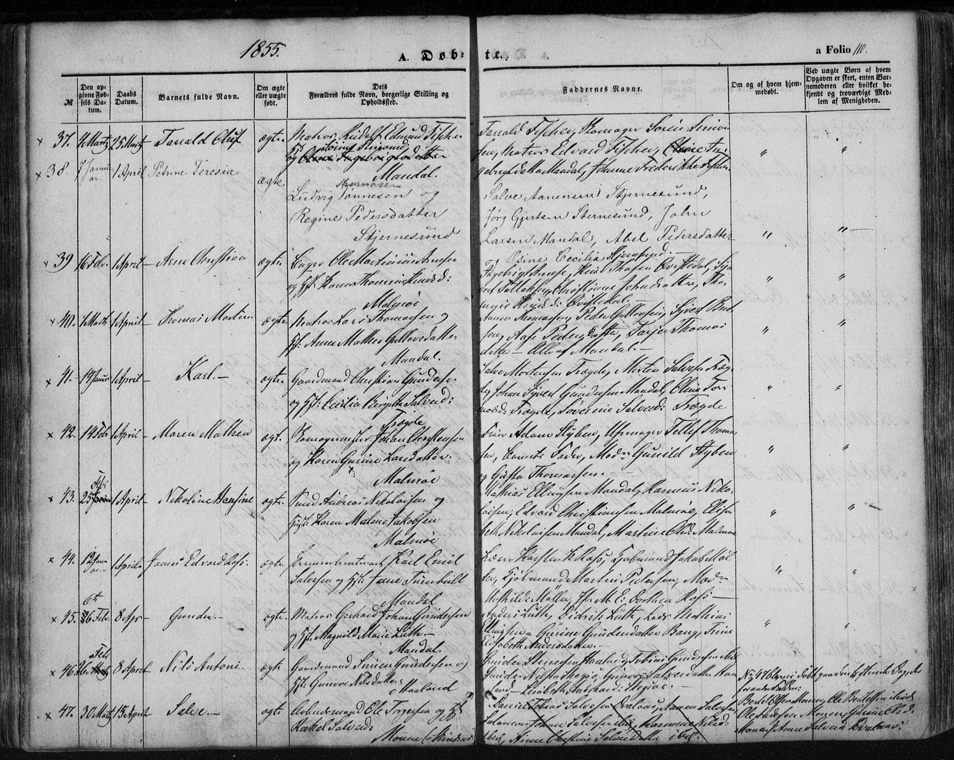 Mandal sokneprestkontor, AV/SAK-1111-0030/F/Fa/Faa/L0013: Ministerialbok nr. A 13, 1847-1859, s. 110