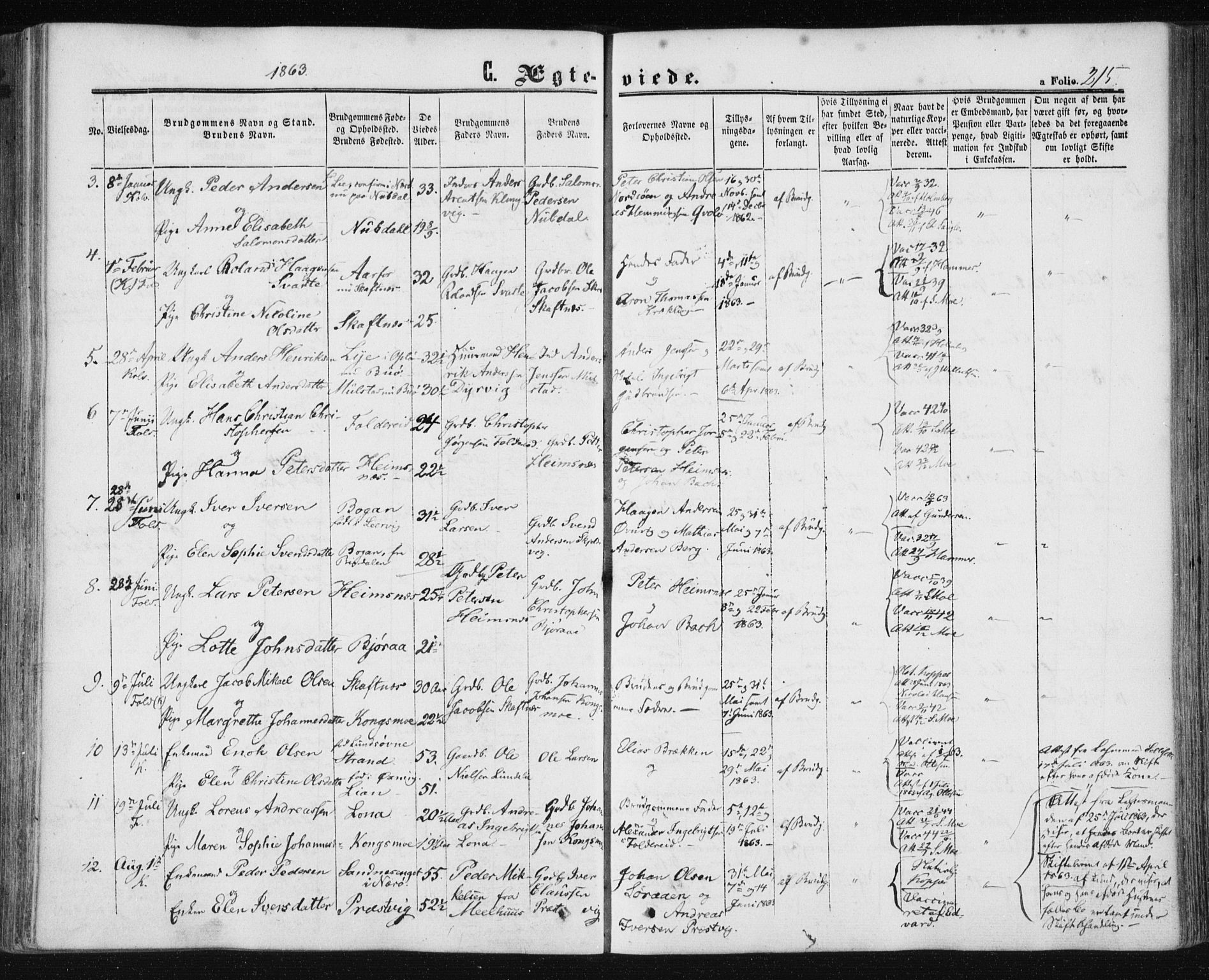 Ministerialprotokoller, klokkerbøker og fødselsregistre - Nord-Trøndelag, AV/SAT-A-1458/780/L0641: Ministerialbok nr. 780A06, 1857-1874, s. 215