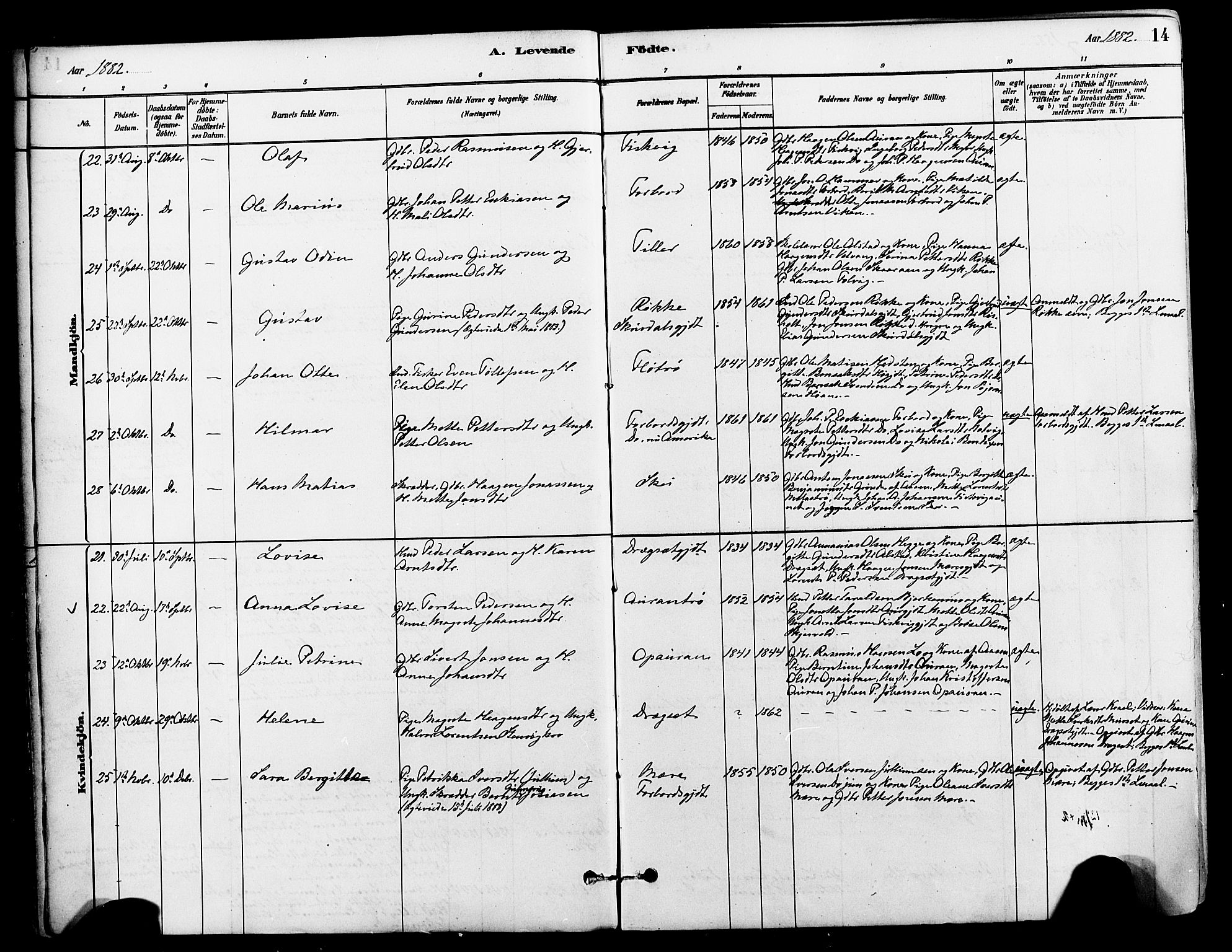 Ministerialprotokoller, klokkerbøker og fødselsregistre - Nord-Trøndelag, AV/SAT-A-1458/712/L0100: Ministerialbok nr. 712A01, 1880-1900, s. 14