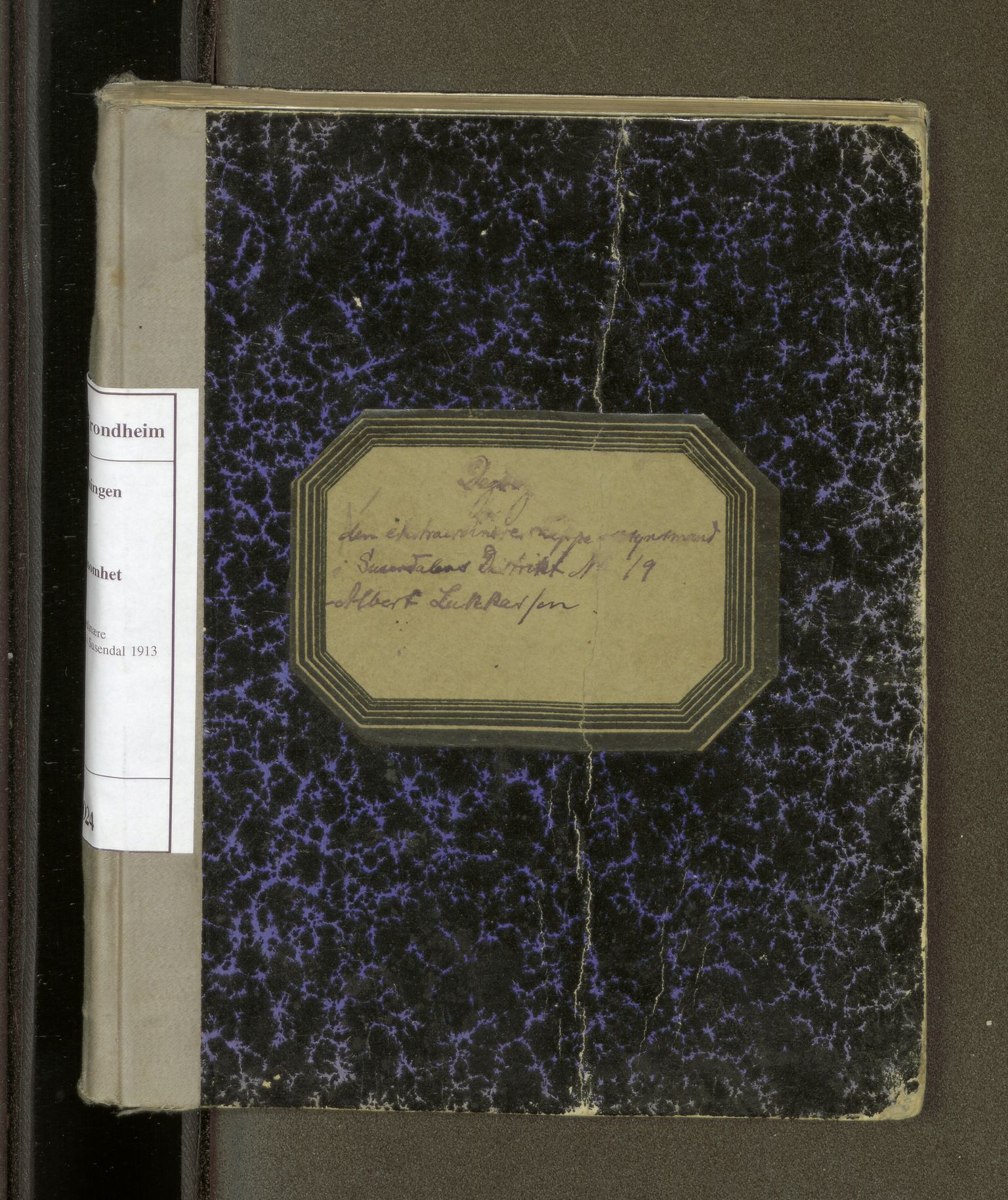 Reindriftsforvaltningen Nordland, AV/SAT-A-5309/H/L0024: Dagbok, Den ekstraordinære lappeoppsynsmannen i Susendal, 1913-1915