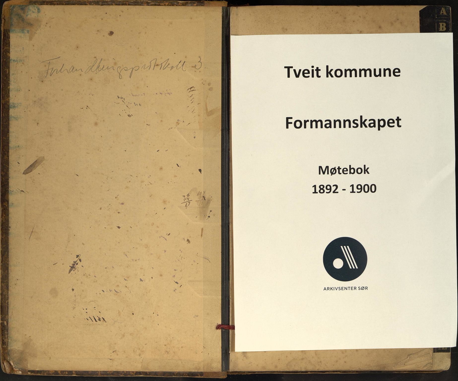 Tveit kommune - Formannskapet/ Kommunestyret, ARKSOR/1001TV120/A/L0003: Møtebok (d), 1892-1900