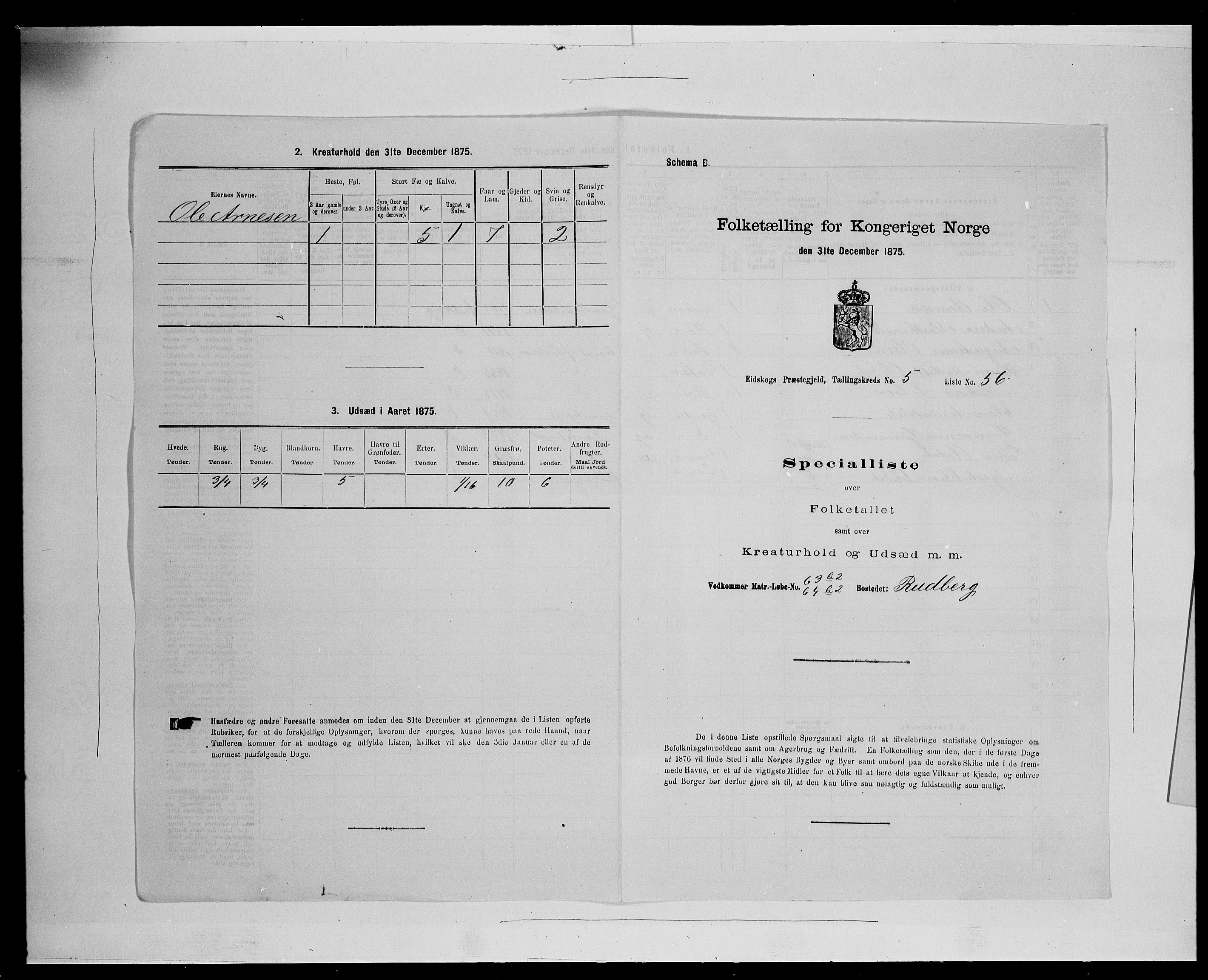 SAH, Folketelling 1875 for 0420P Eidskog prestegjeld, 1875, s. 951