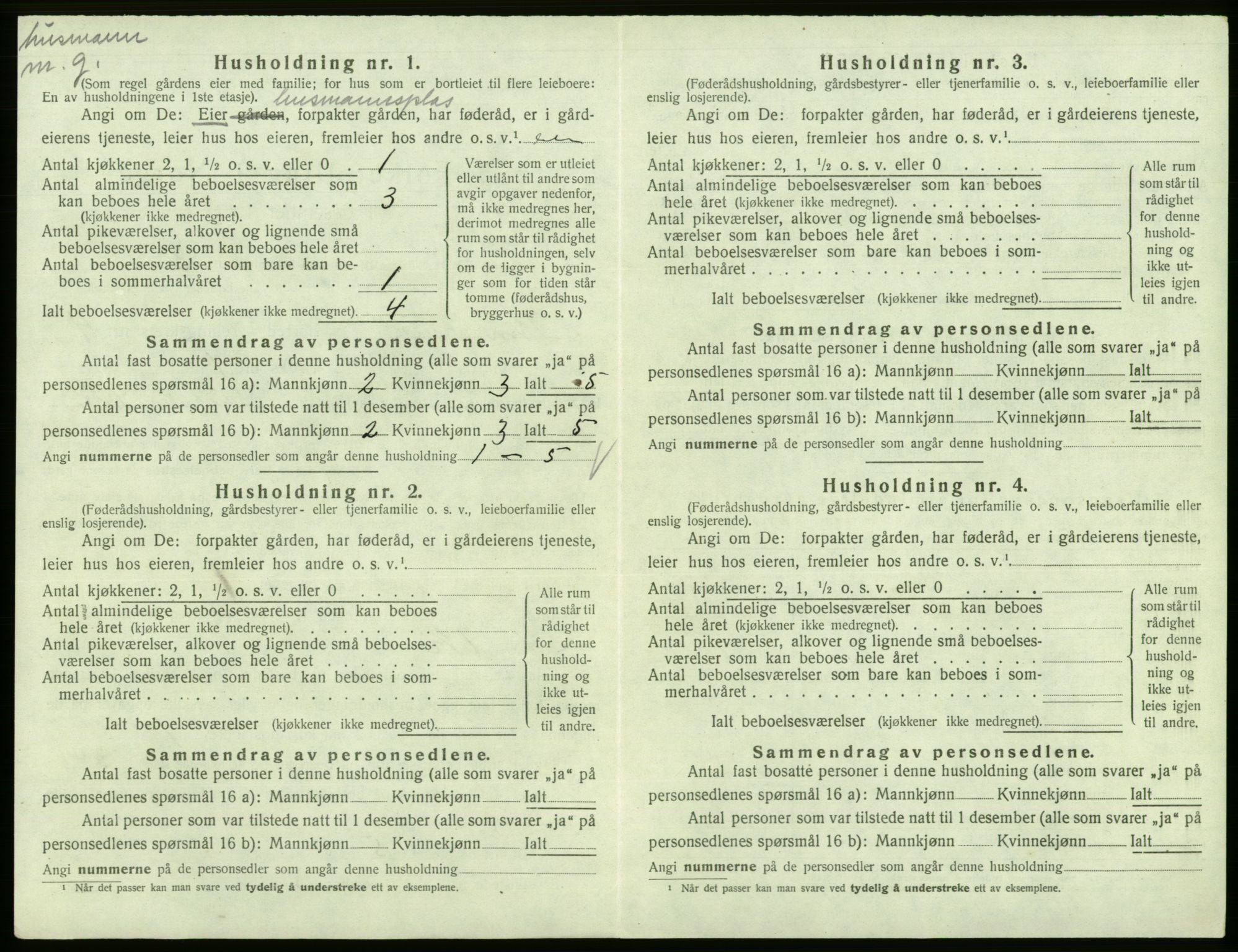 SAB, Folketelling 1920 for 1231 Kinsarvik herred, 1920, s. 317