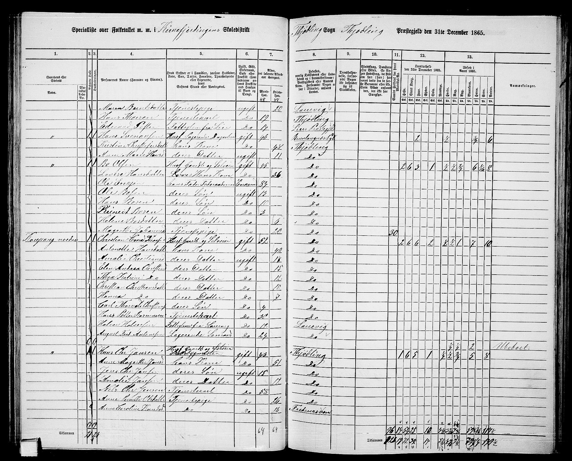 RA, Folketelling 1865 for 0725P Tjølling prestegjeld, 1865, s. 58