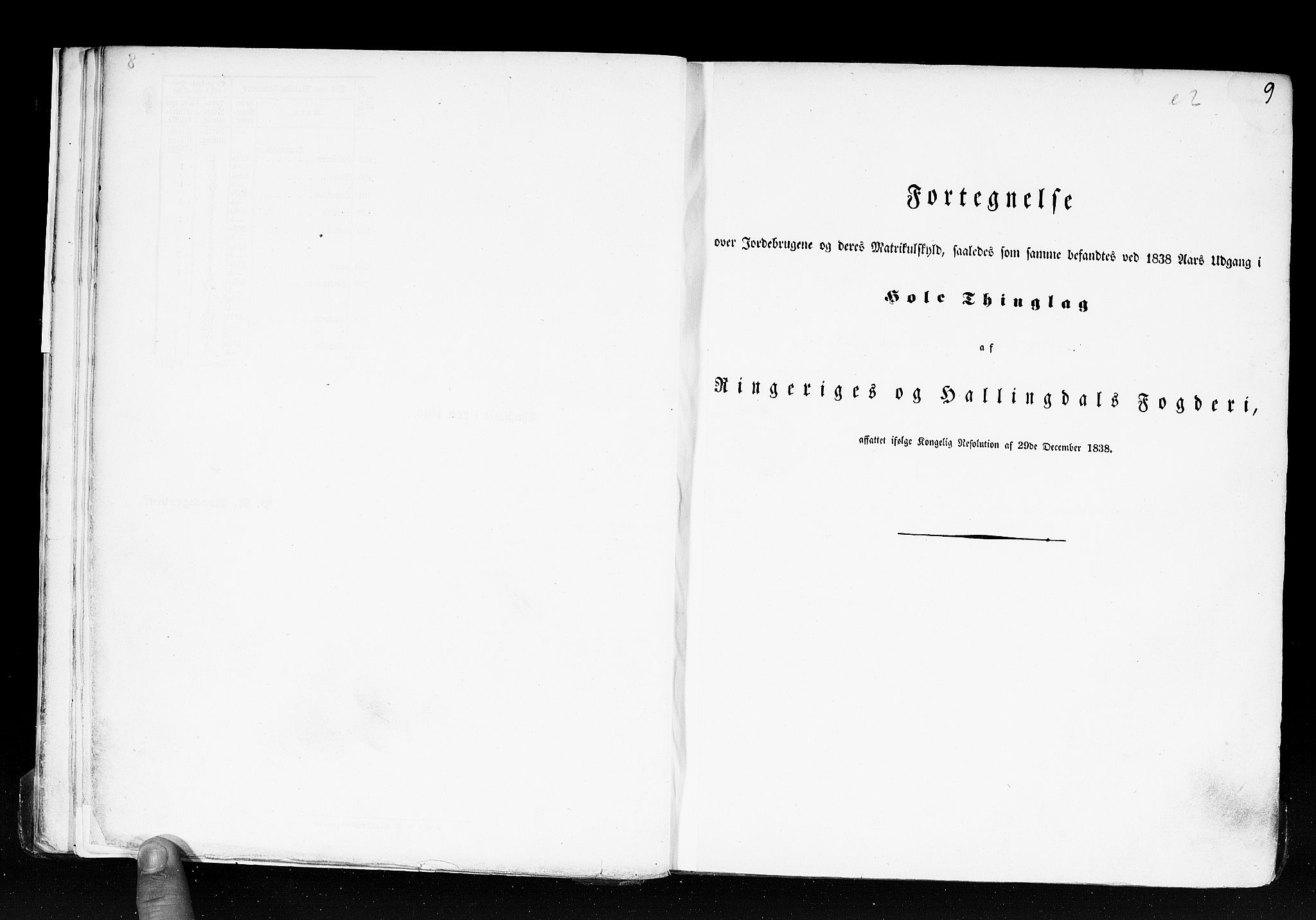 Rygh, RA/PA-0034/F/Fb/L0005: Matrikkelen for 1838 - Buskerud amt (Buskerud fylke), 1838, s. 9a