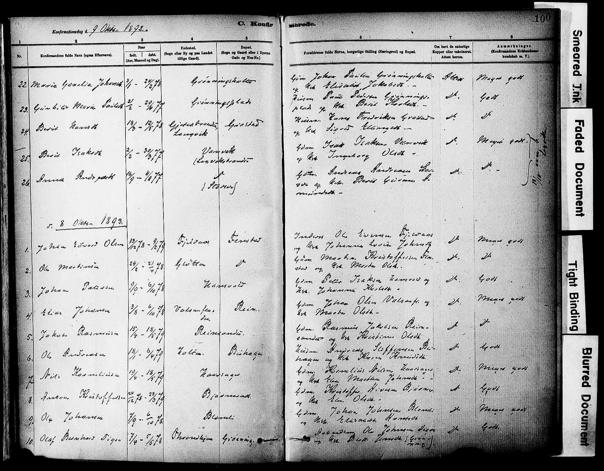 Ministerialprotokoller, klokkerbøker og fødselsregistre - Sør-Trøndelag, SAT/A-1456/646/L0615: Ministerialbok nr. 646A13, 1885-1900, s. 100