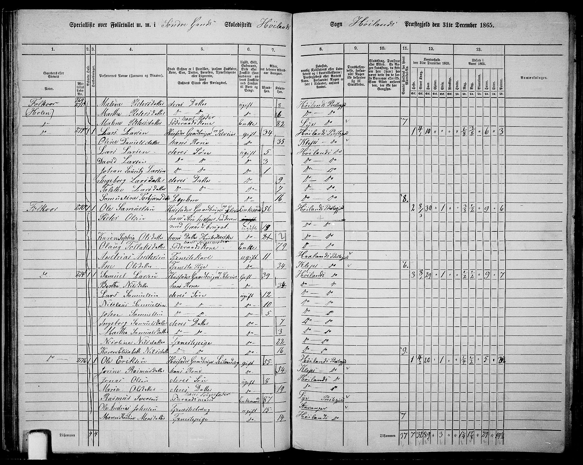 RA, Folketelling 1865 for 1123P Høyland prestegjeld, 1865, s. 45