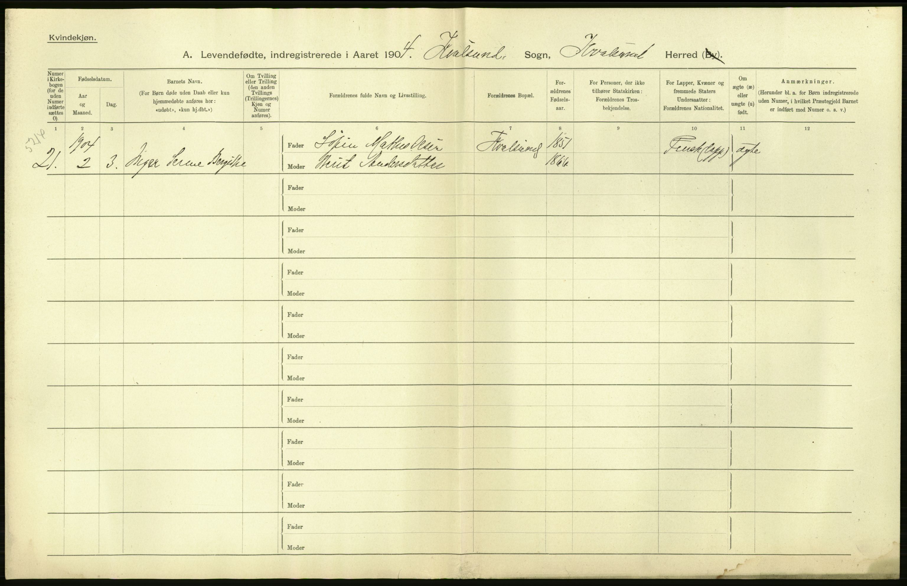 Statistisk sentralbyrå, Sosiodemografiske emner, Befolkning, AV/RA-S-2228/D/Df/Dfa/Dfab/L0023: Finnmarkens amt: Fødte, gifte, døde, 1904, s. 18