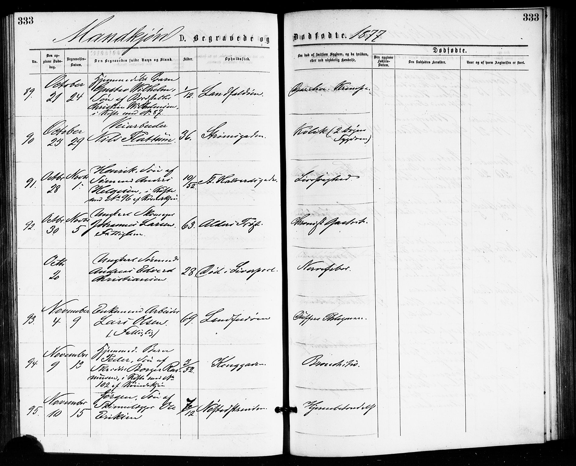 Bragernes kirkebøker, AV/SAKO-A-6/F/Fb/L0005: Ministerialbok nr. II 5, 1875-1877, s. 333