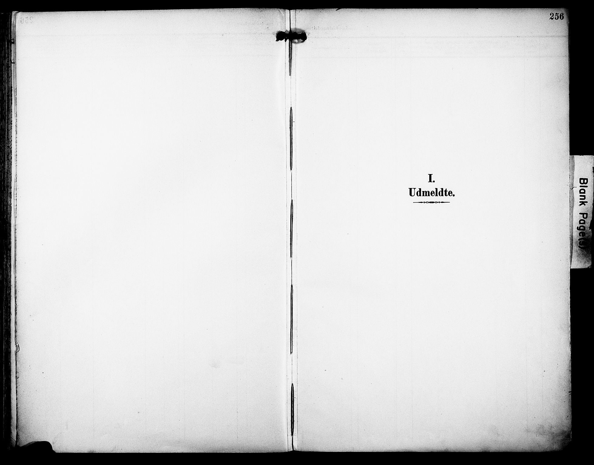 Rakkestad prestekontor Kirkebøker, AV/SAO-A-2008/F/Fa/L0013: Ministerialbok nr. I 13, 1894-1908, s. 256