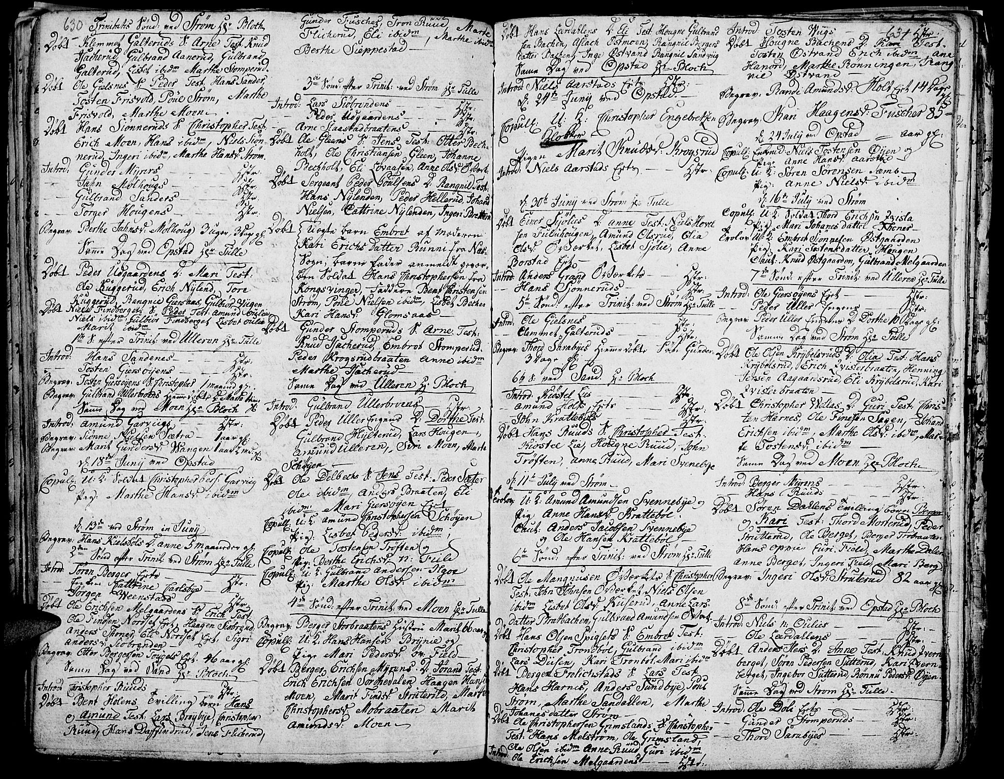Strøm-Odalen prestekontor, AV/SAH-PREST-028/H/Ha/Haa/L0003: Ministerialbok nr. 3, 1741-1803, s. 630-631