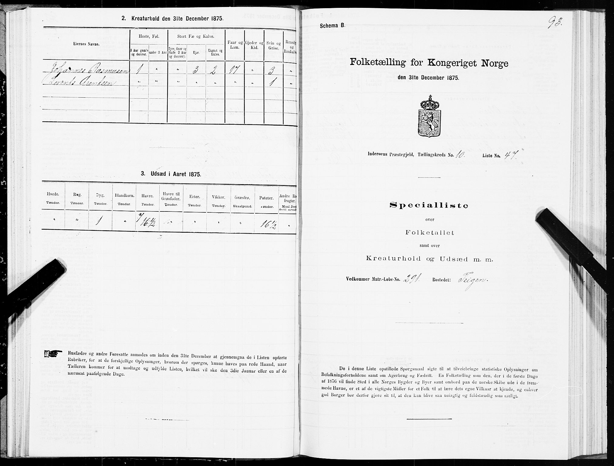 SAT, Folketelling 1875 for 1729P Inderøy prestegjeld, 1875, s. 6093