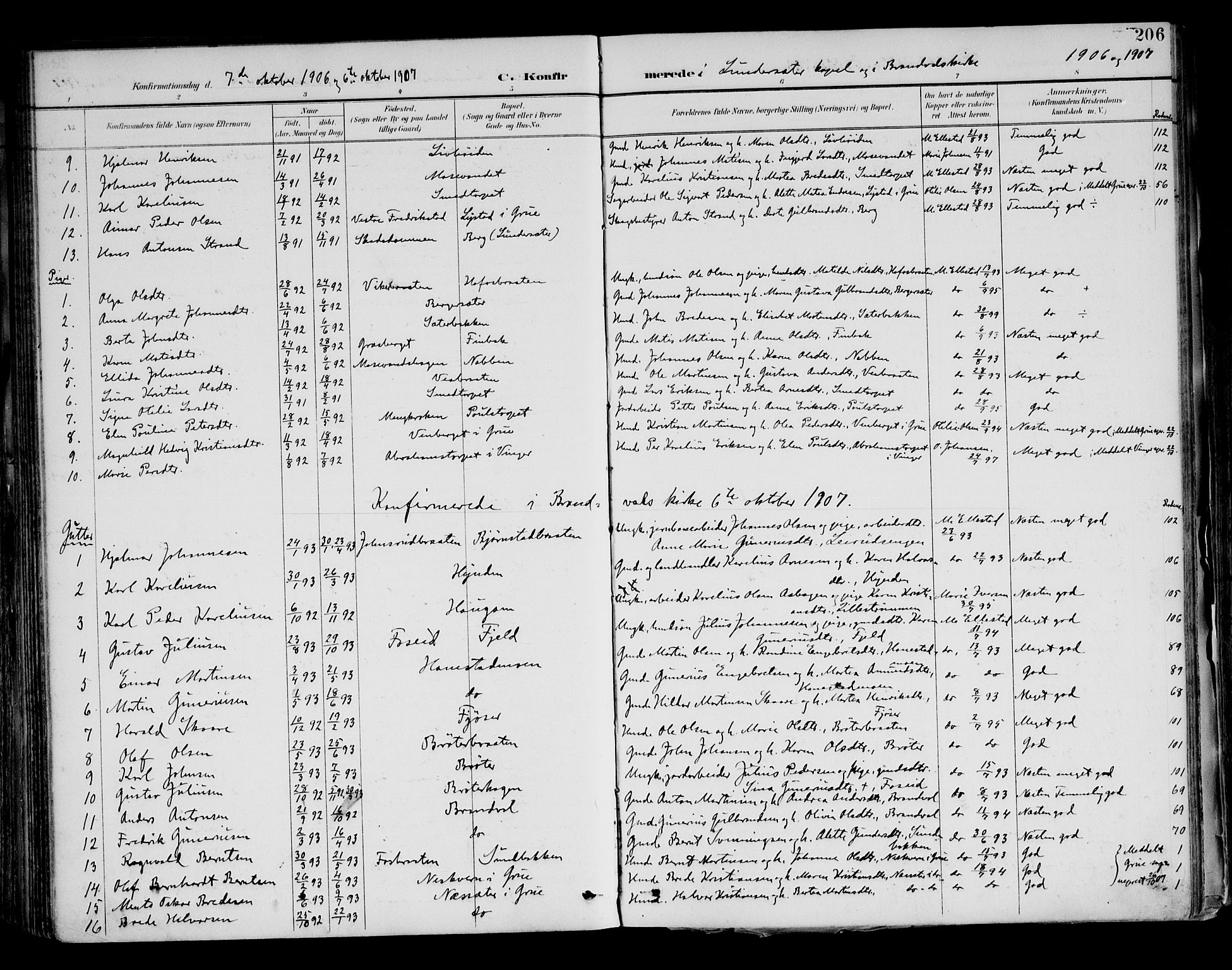 Brandval prestekontor, AV/SAH-PREST-034/H/Ha/Haa/L0003: Ministerialbok nr. 3, 1894-1909, s. 206