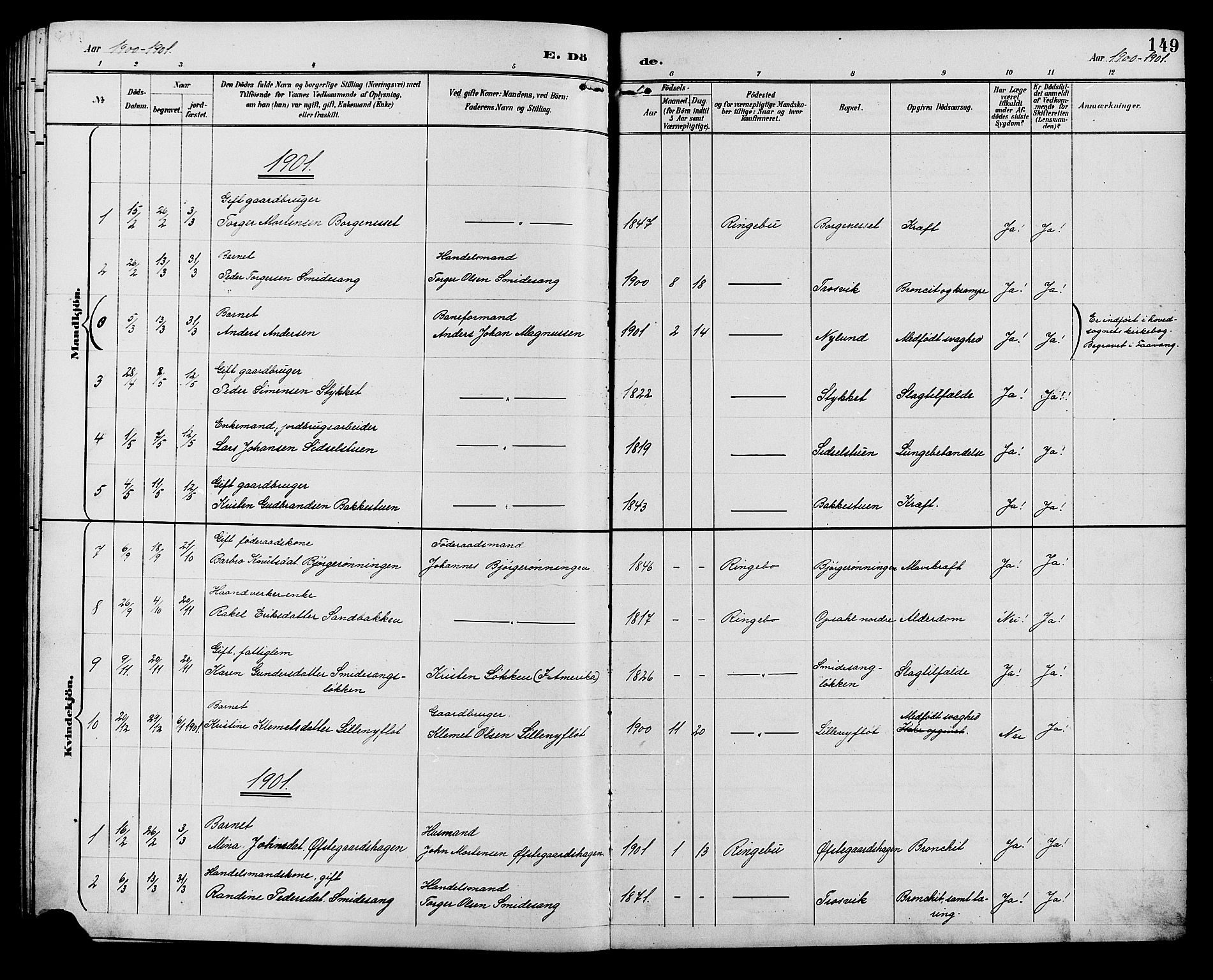 Ringebu prestekontor, AV/SAH-PREST-082/H/Ha/Hab/L0007: Klokkerbok nr. 7, 1890-1910, s. 149