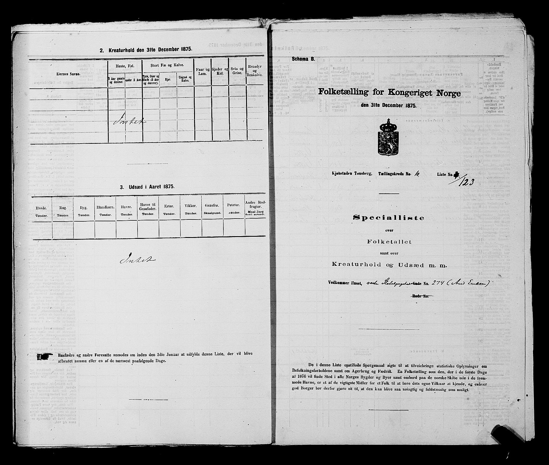 SAKO, Folketelling 1875 for 0705P Tønsberg prestegjeld, 1875, s. 306