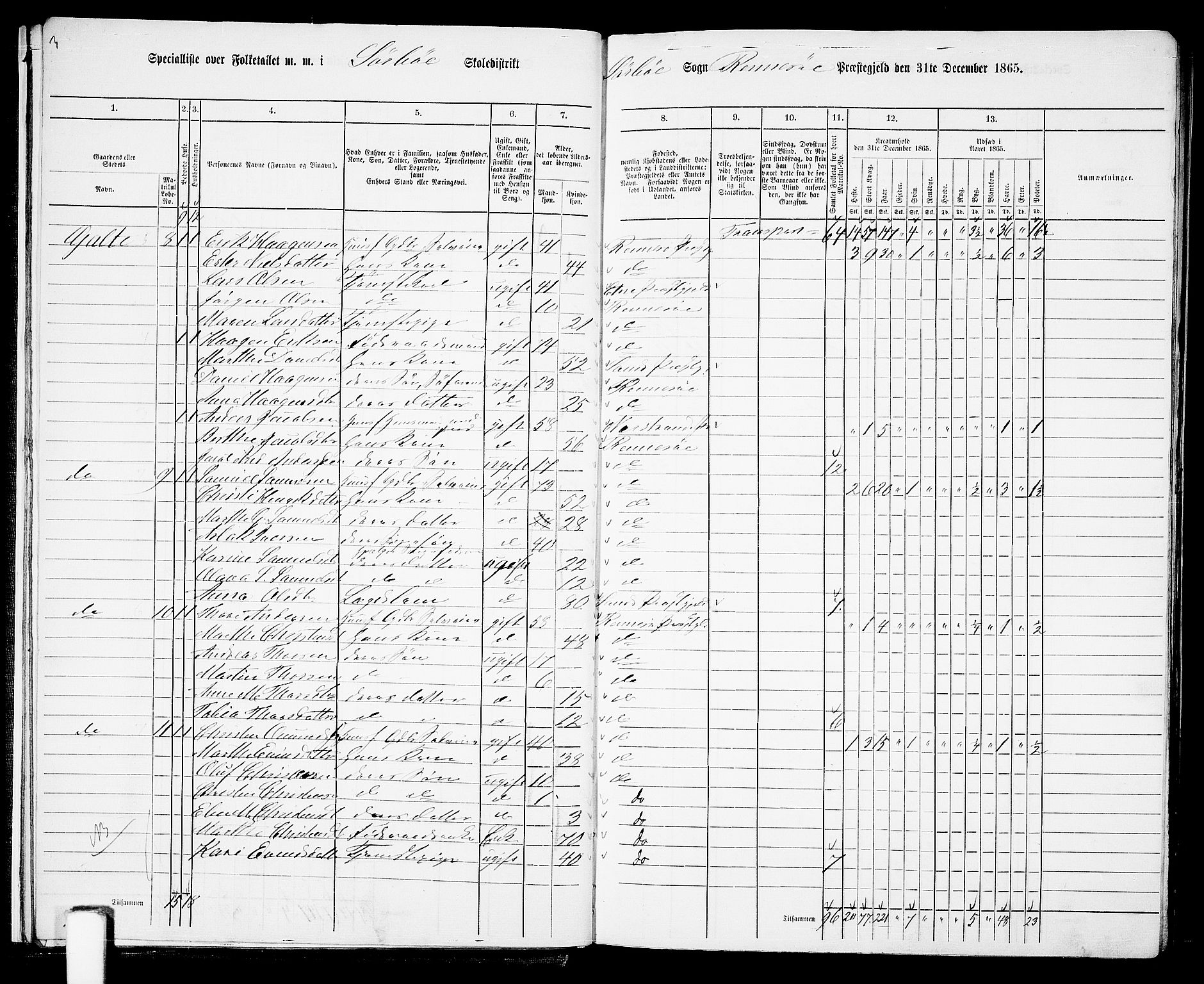 RA, Folketelling 1865 for 1142P Rennesøy prestegjeld, 1865, s. 13