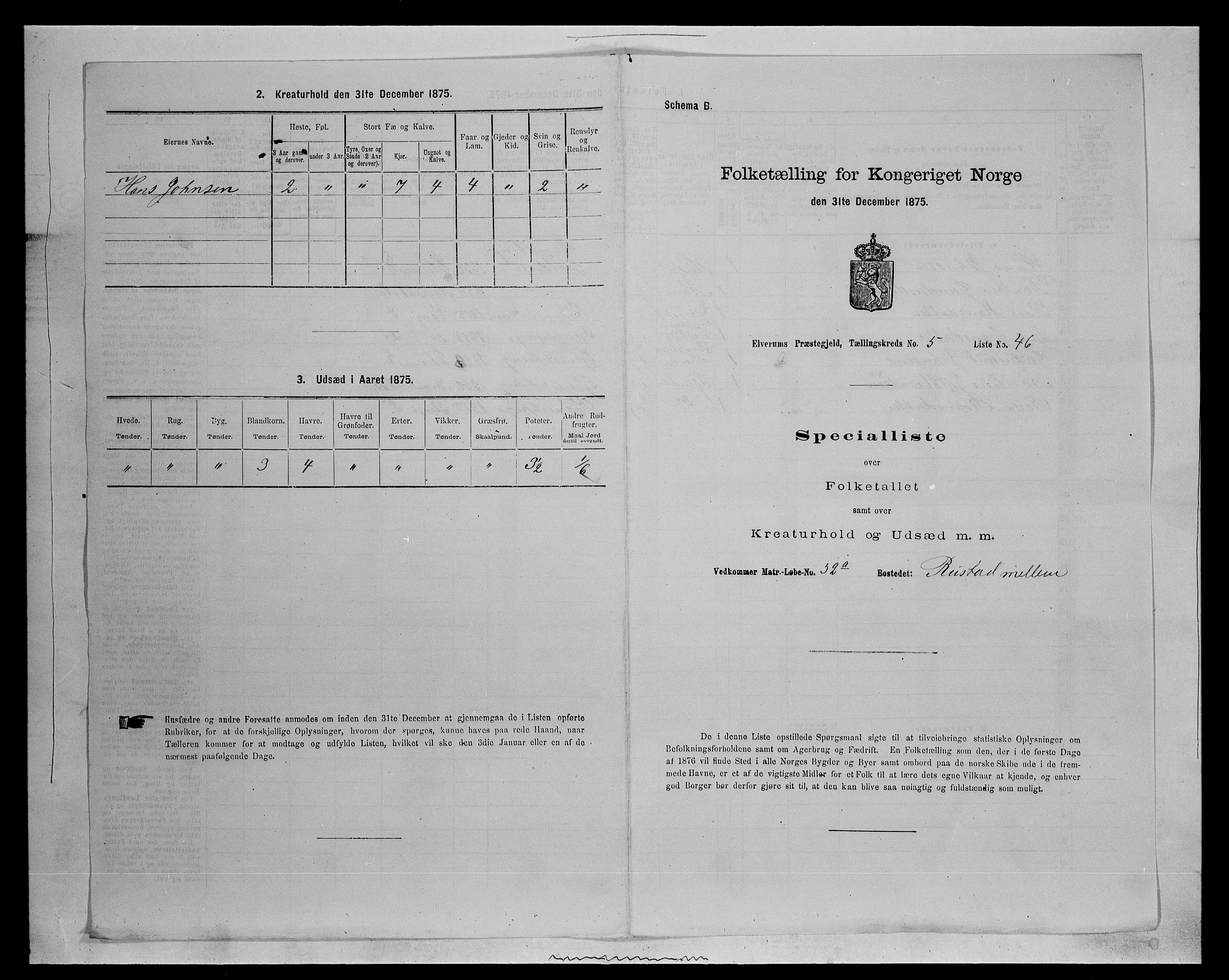 SAH, Folketelling 1875 for 0427P Elverum prestegjeld, 1875, s. 1315