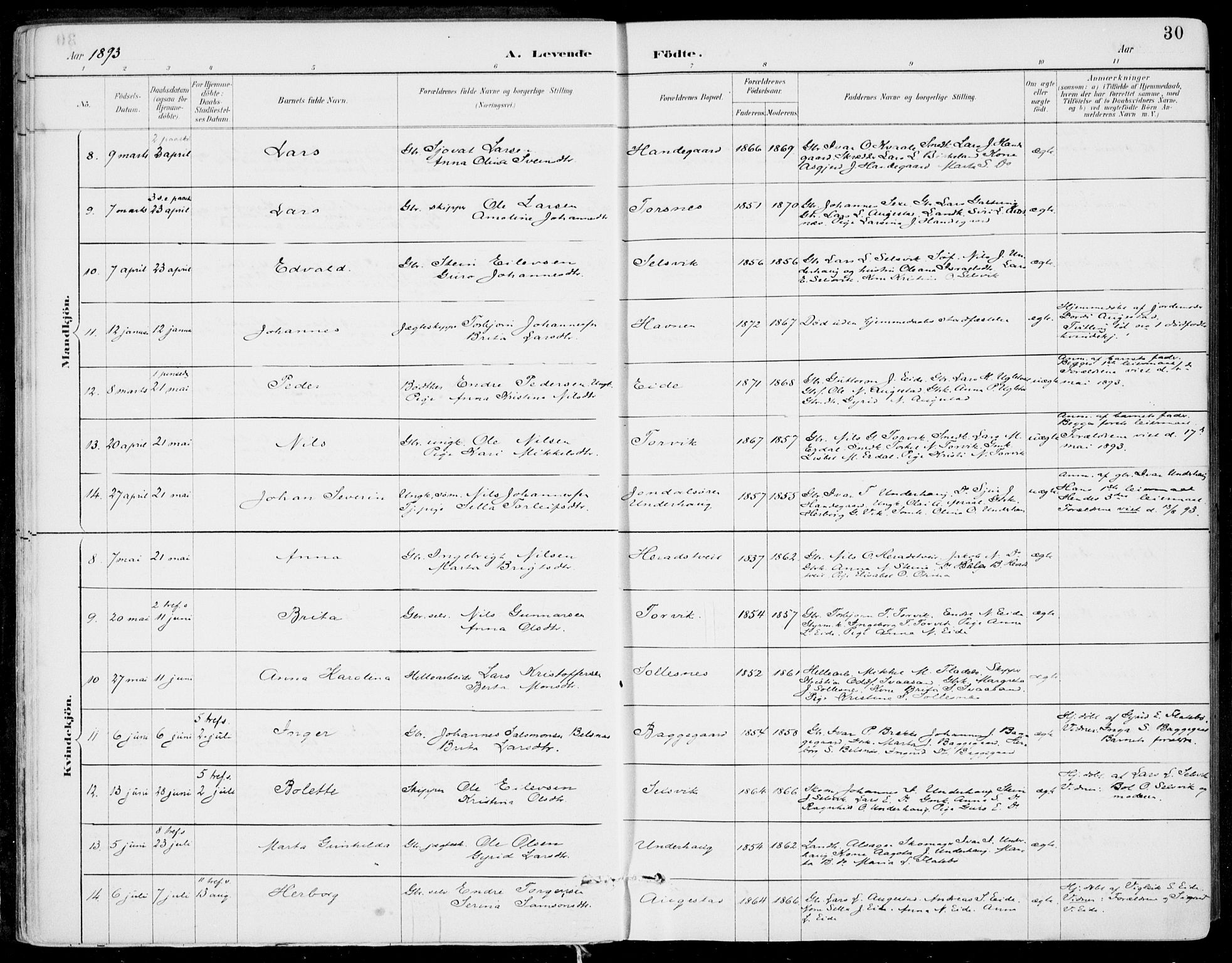 Strandebarm sokneprestembete, AV/SAB-A-78401/H/Haa: Ministerialbok nr. E  1, 1886-1908, s. 30