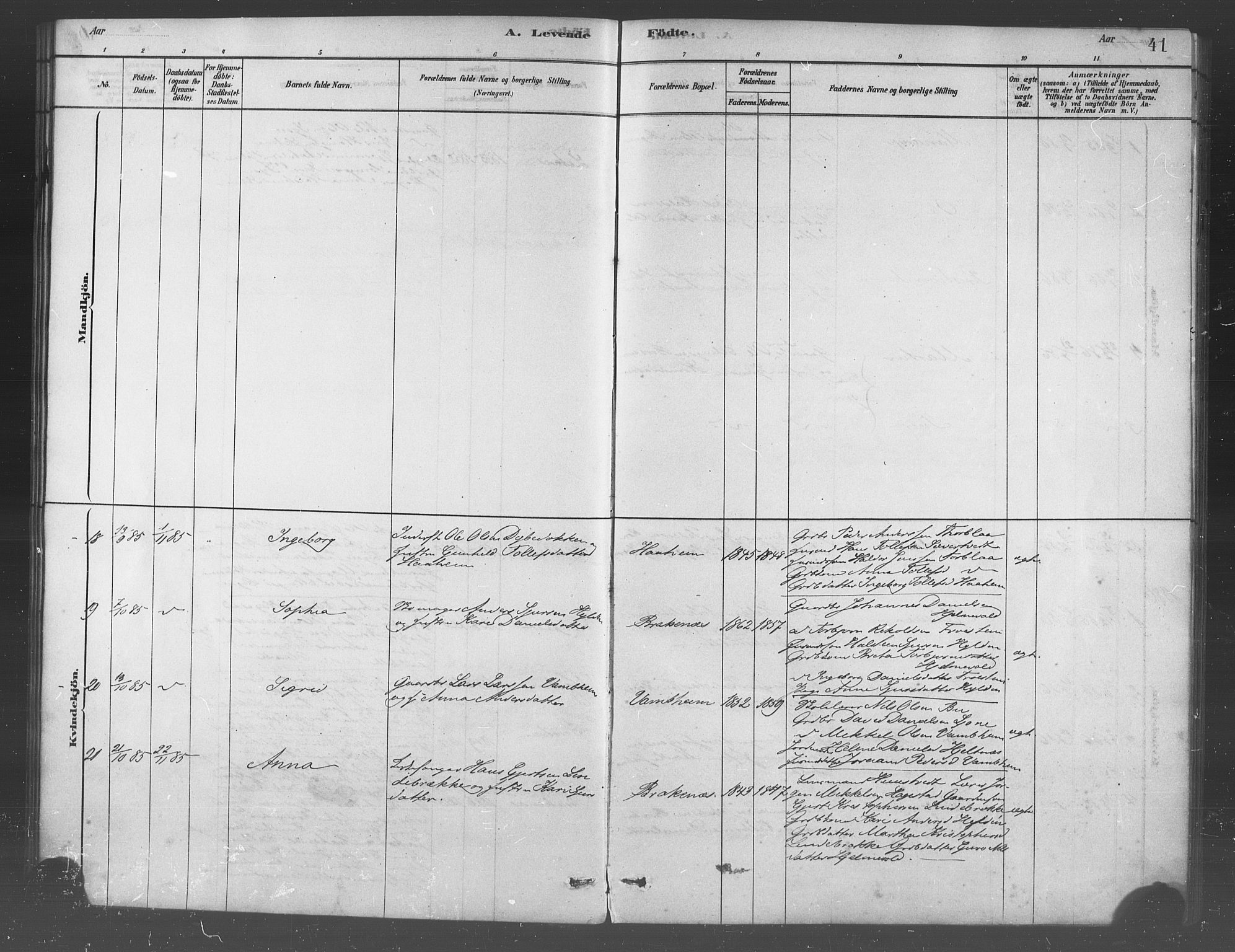 Ulvik sokneprestembete, AV/SAB-A-78801/H/Haa: Ministerialbok nr. B 1, 1878-1897, s. 41