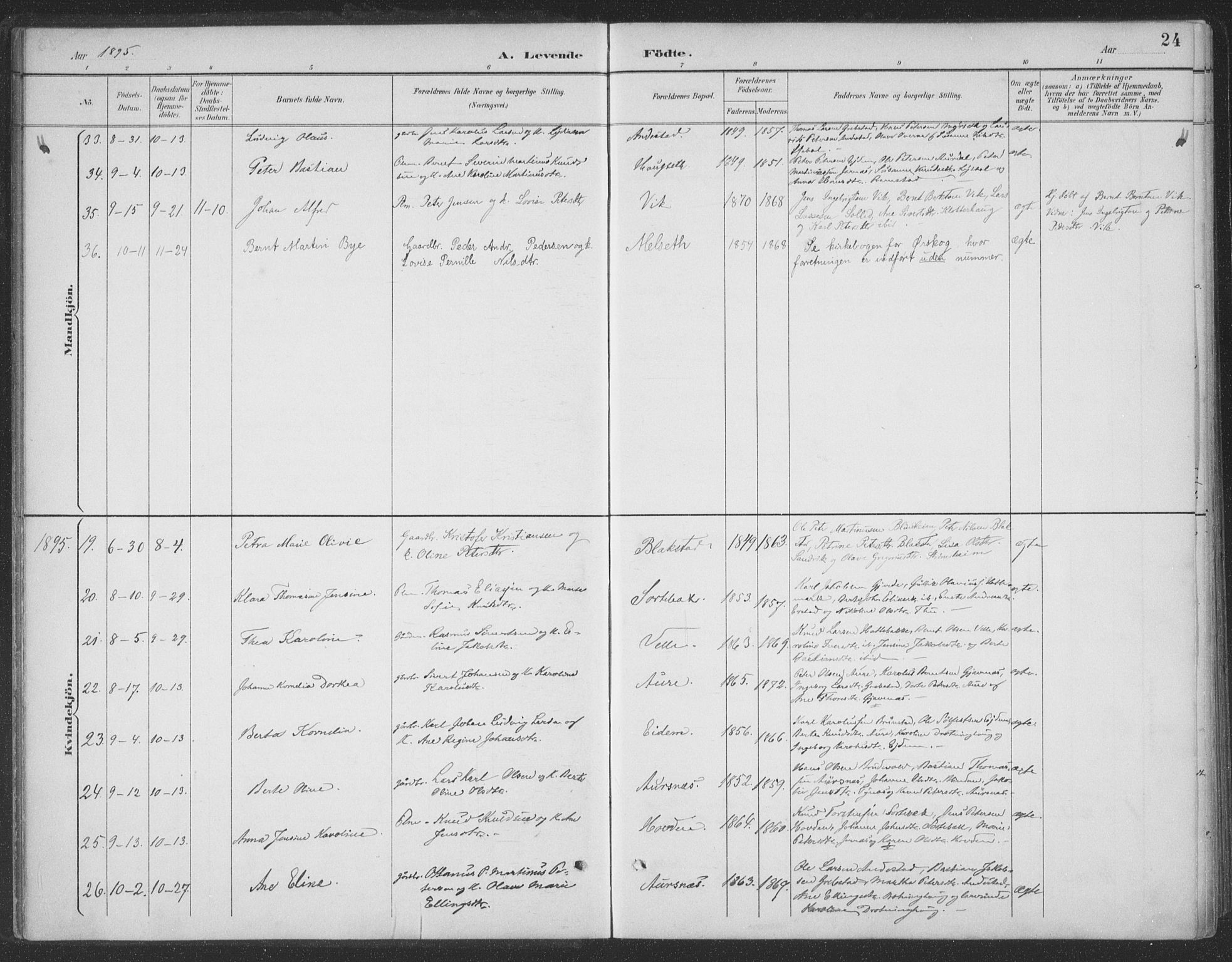 Ministerialprotokoller, klokkerbøker og fødselsregistre - Møre og Romsdal, SAT/A-1454/523/L0335: Ministerialbok nr. 523A02, 1891-1911, s. 24